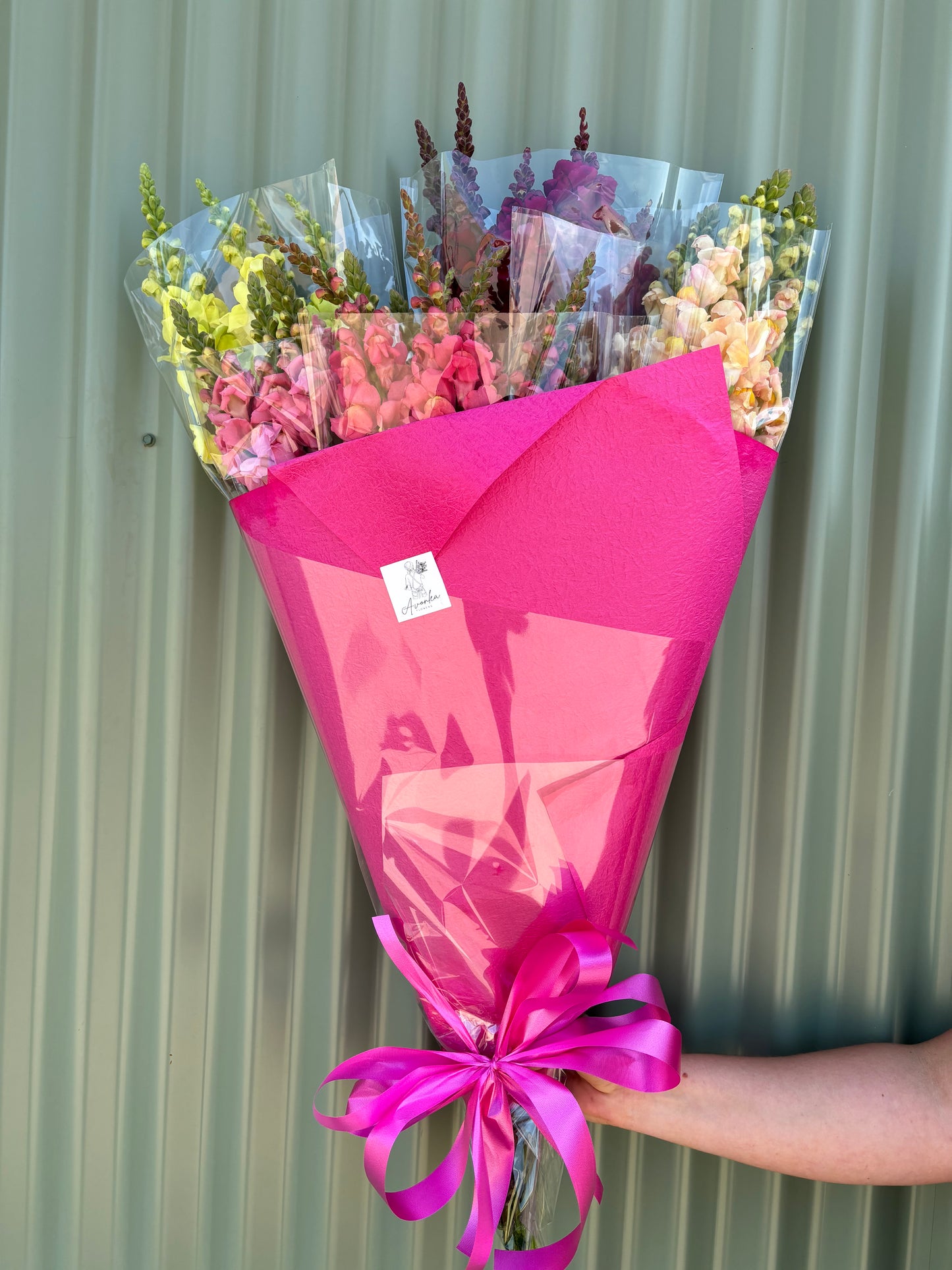 Snapdragon Flower Bundle