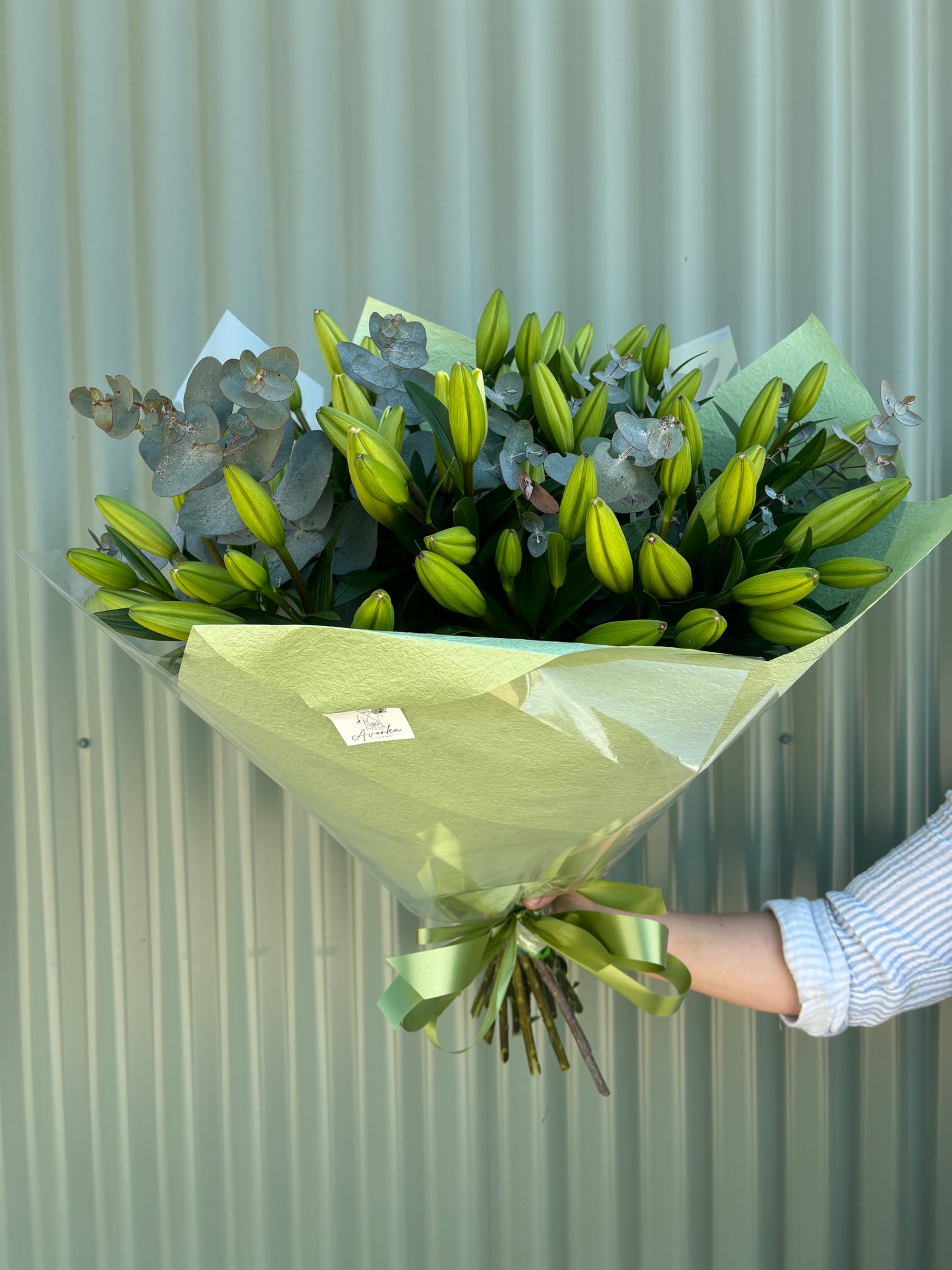 Asiatic Lilly Posy