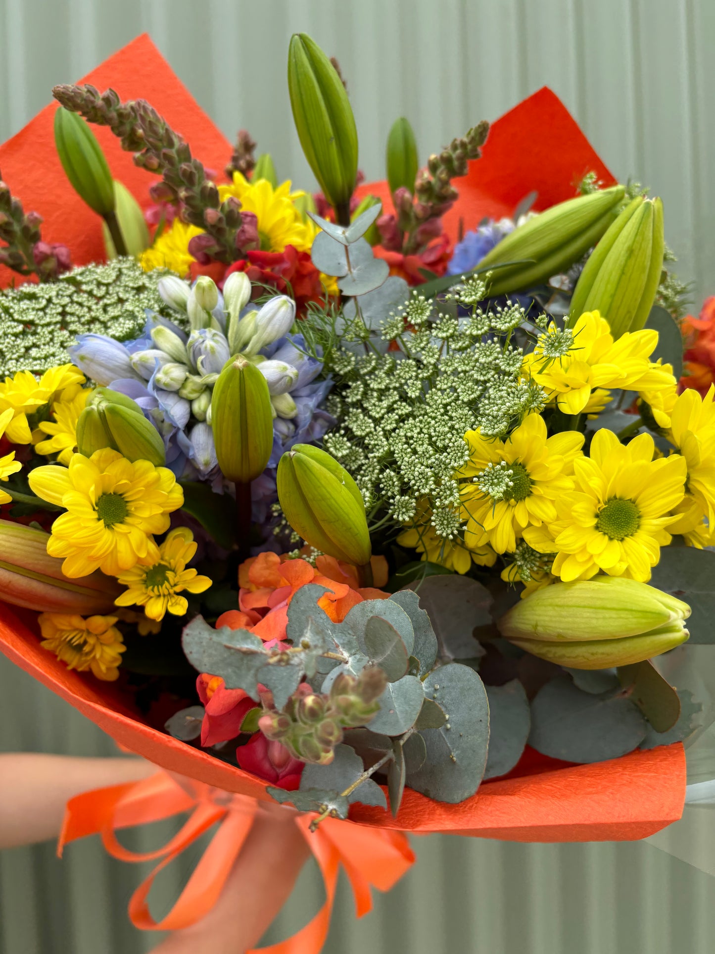 $50 Seasonal Posy - Bright