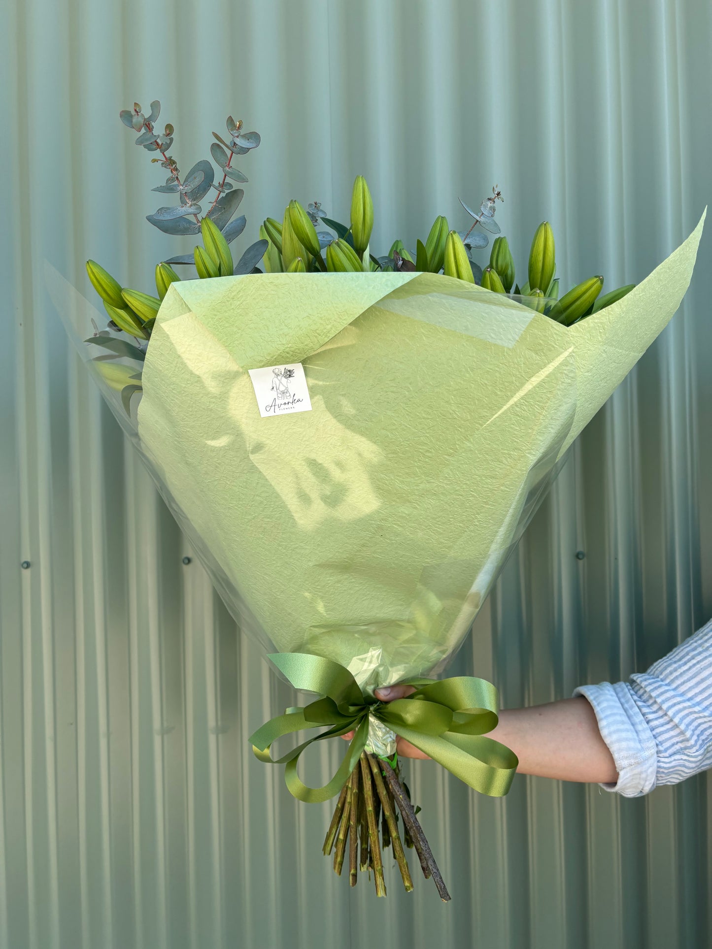 Asiatic Lilly Posy