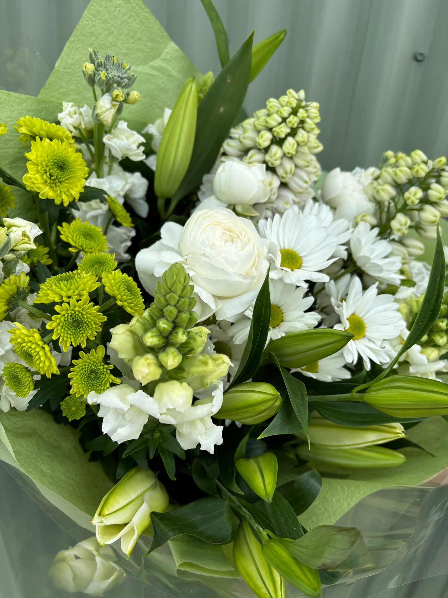 $50 Seasonal Posy - White & Green