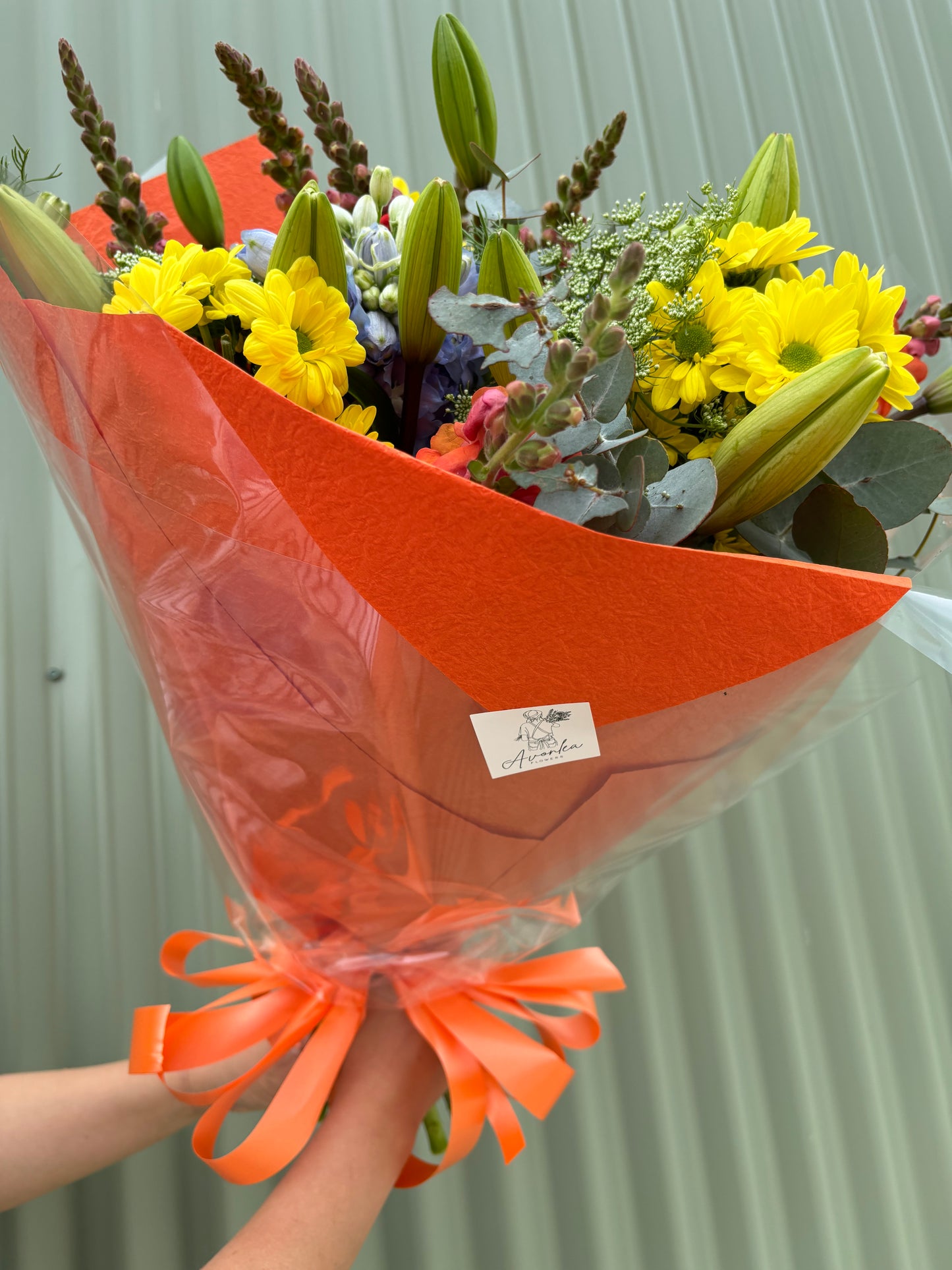 $50 Seasonal Posy - Bright