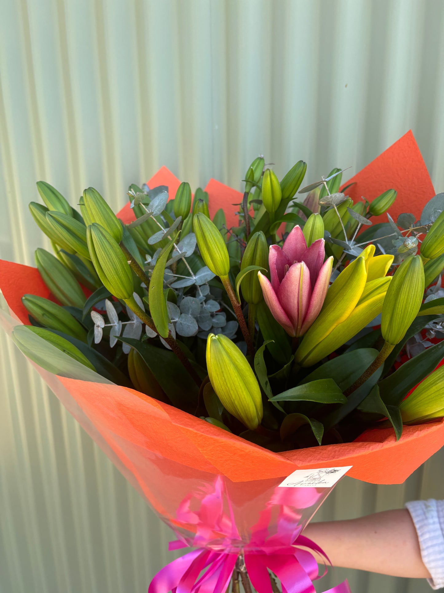 Asiatic Lilly Posy
