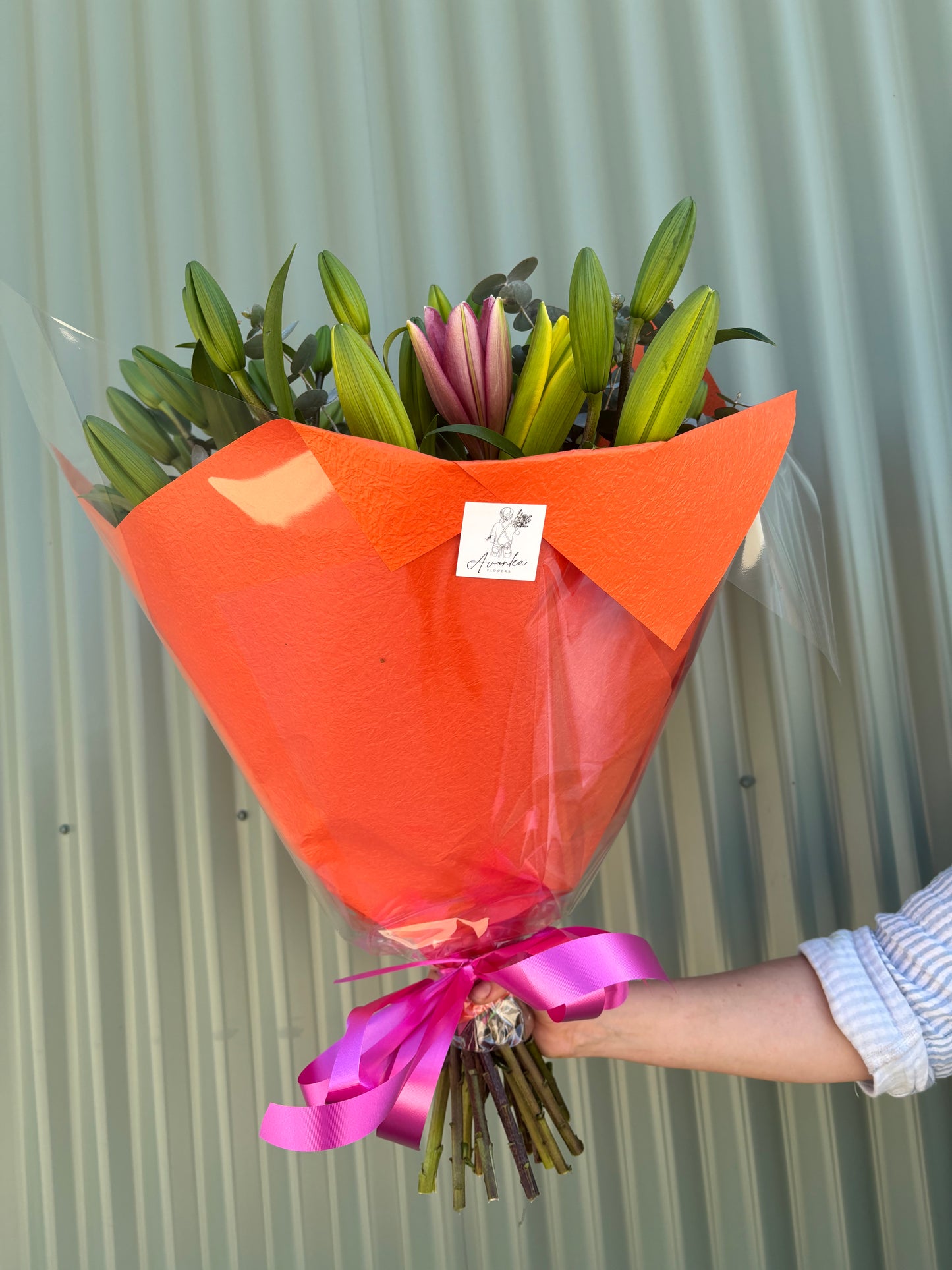 Asiatic Lilly Posy