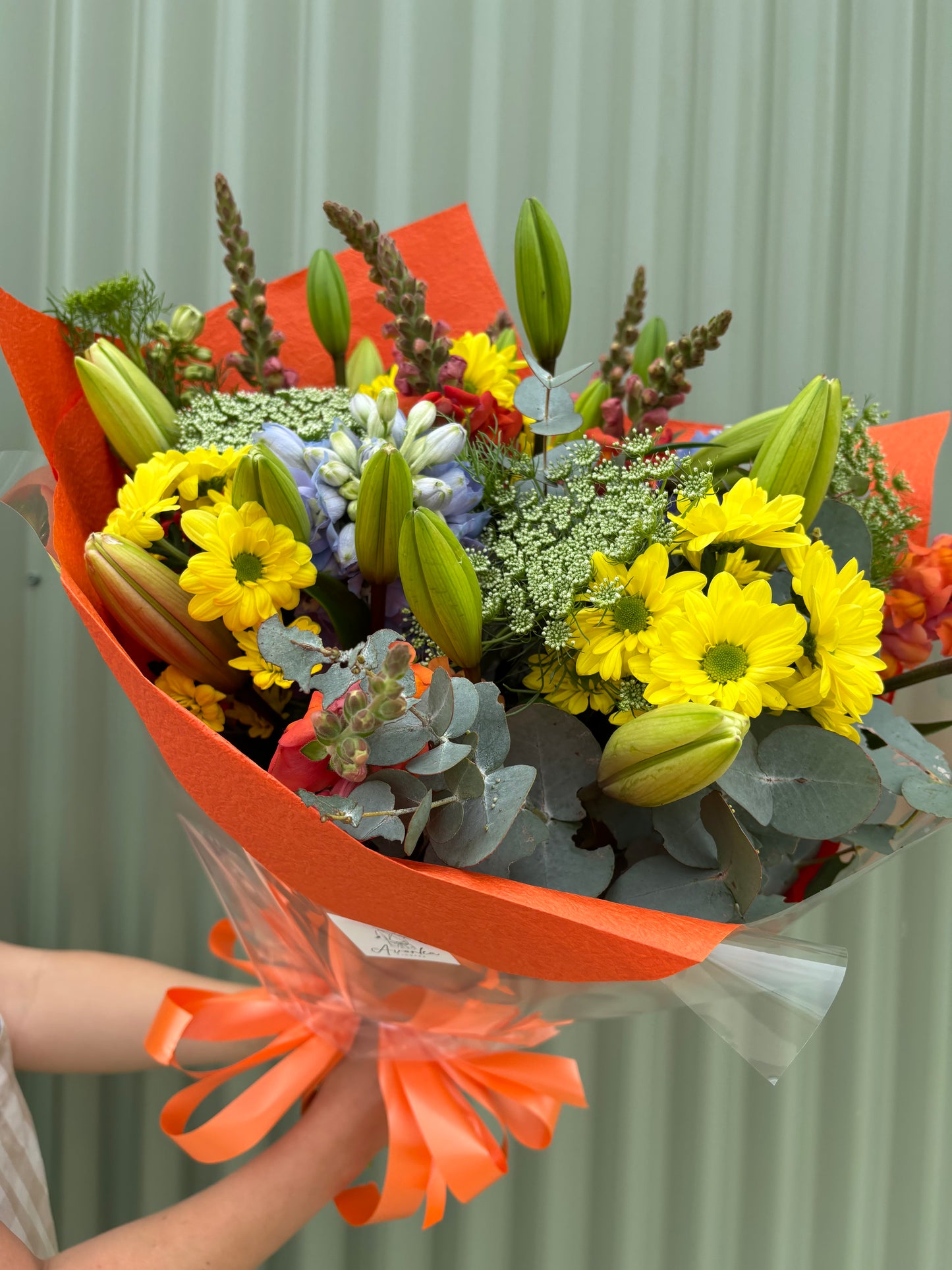 $50 Seasonal Posy - Bright