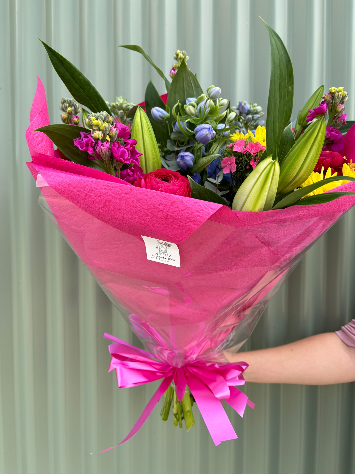 $50 Seasonal Posy - Bright