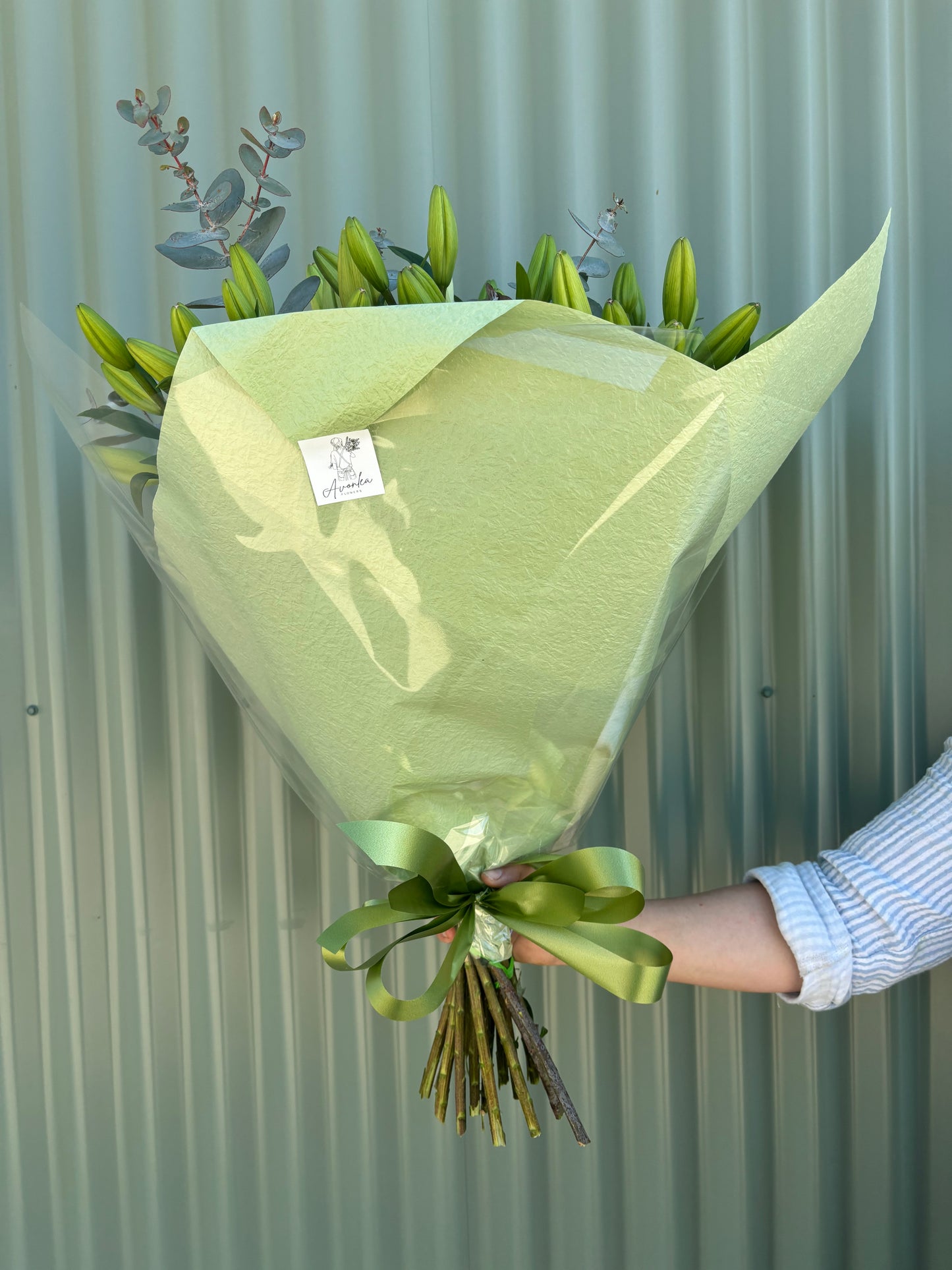 Asiatic Lilly Posy