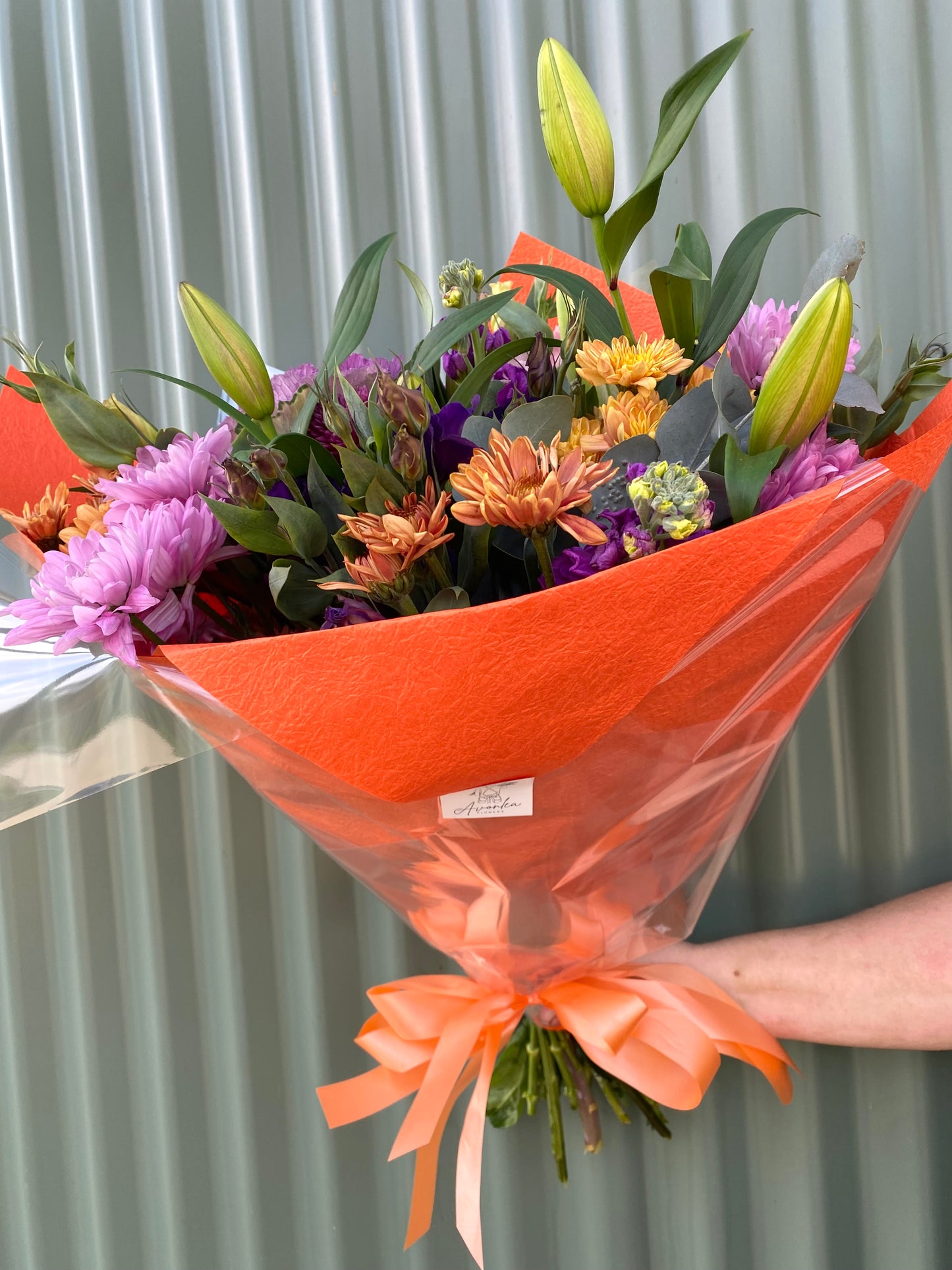 $50 Seasonal Posy - Bright