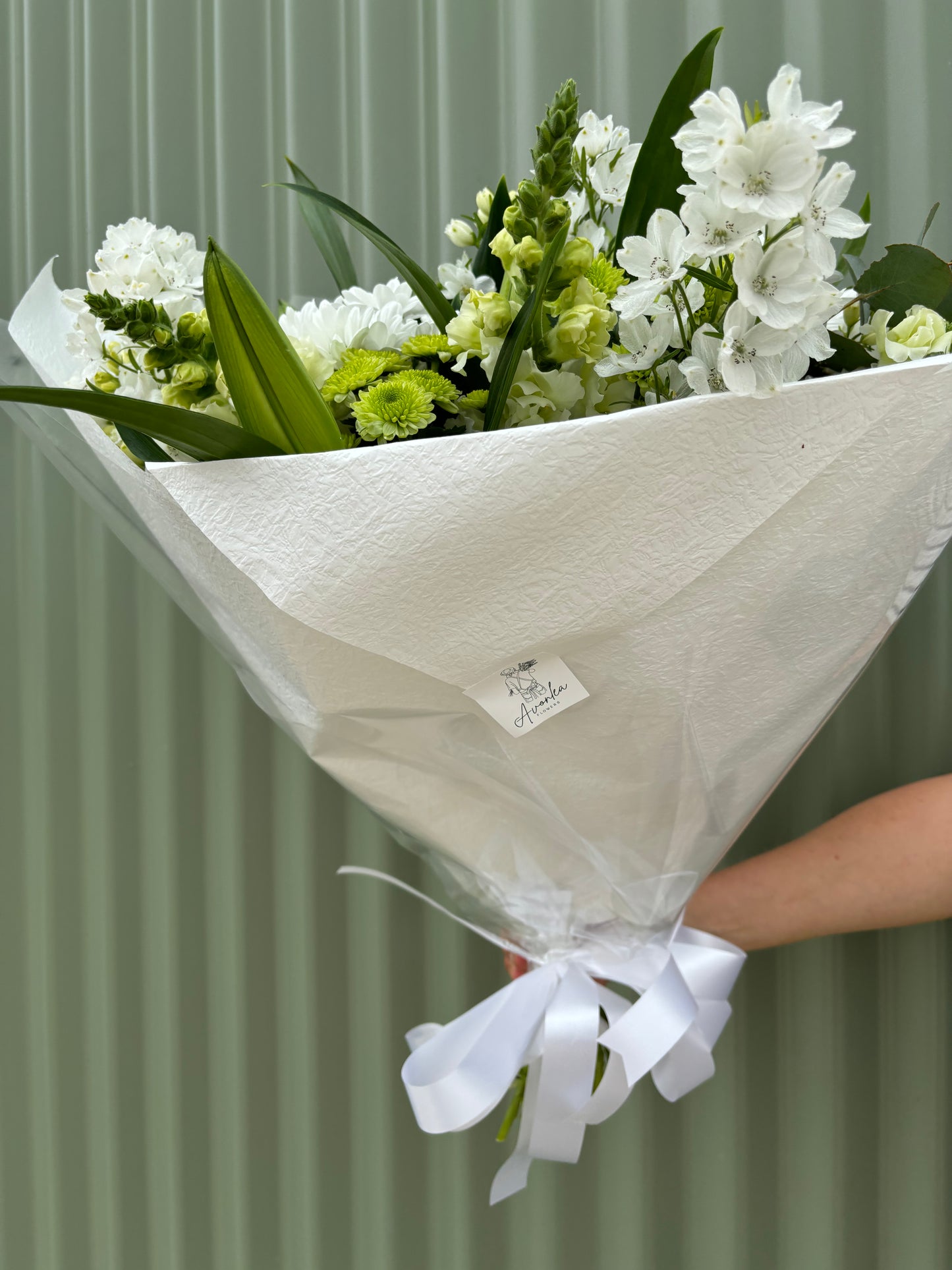 $50 Seasonal Posy - White & Green
