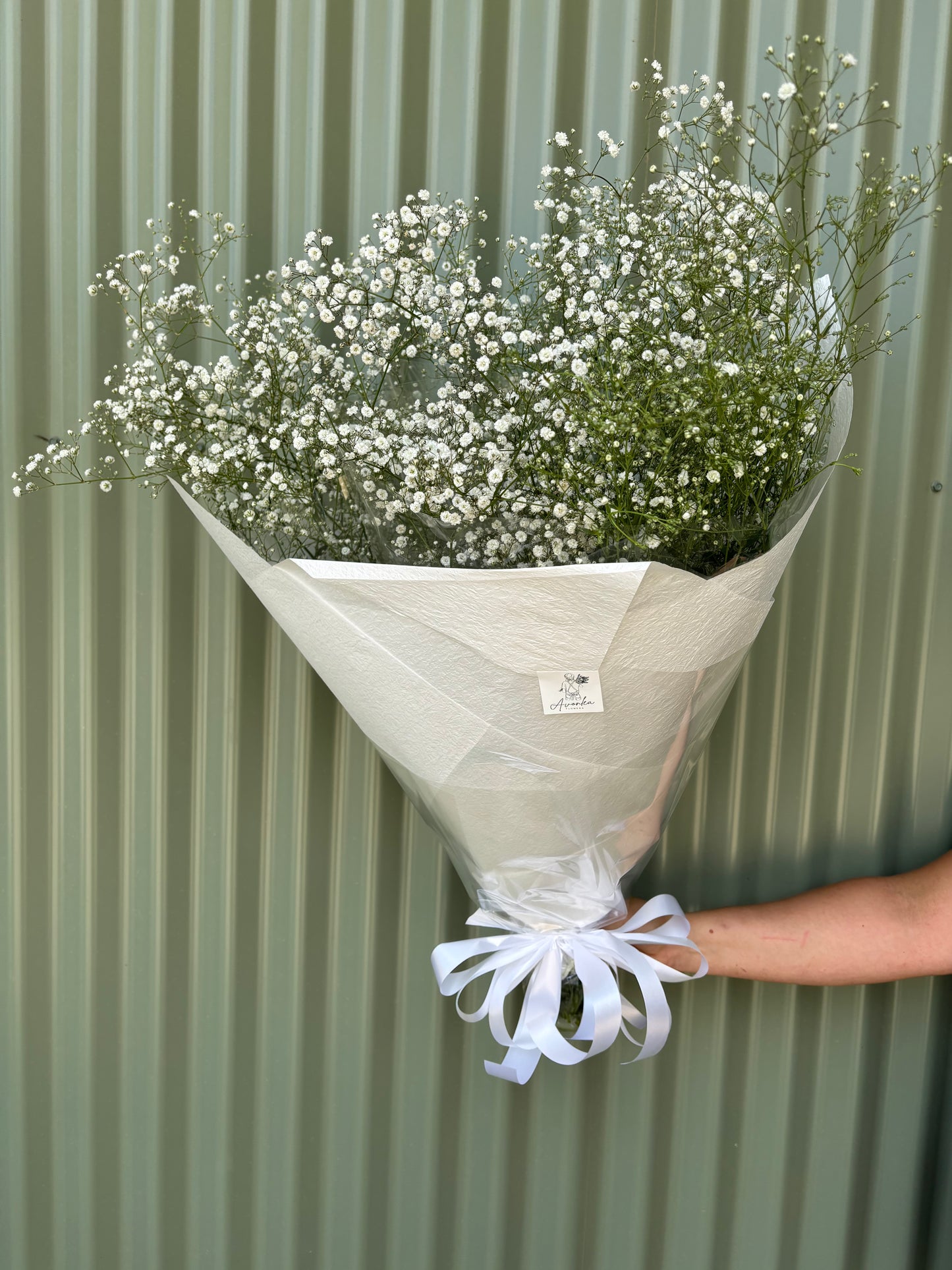 Gypsophila (Baby's Breath) Flower Bundle