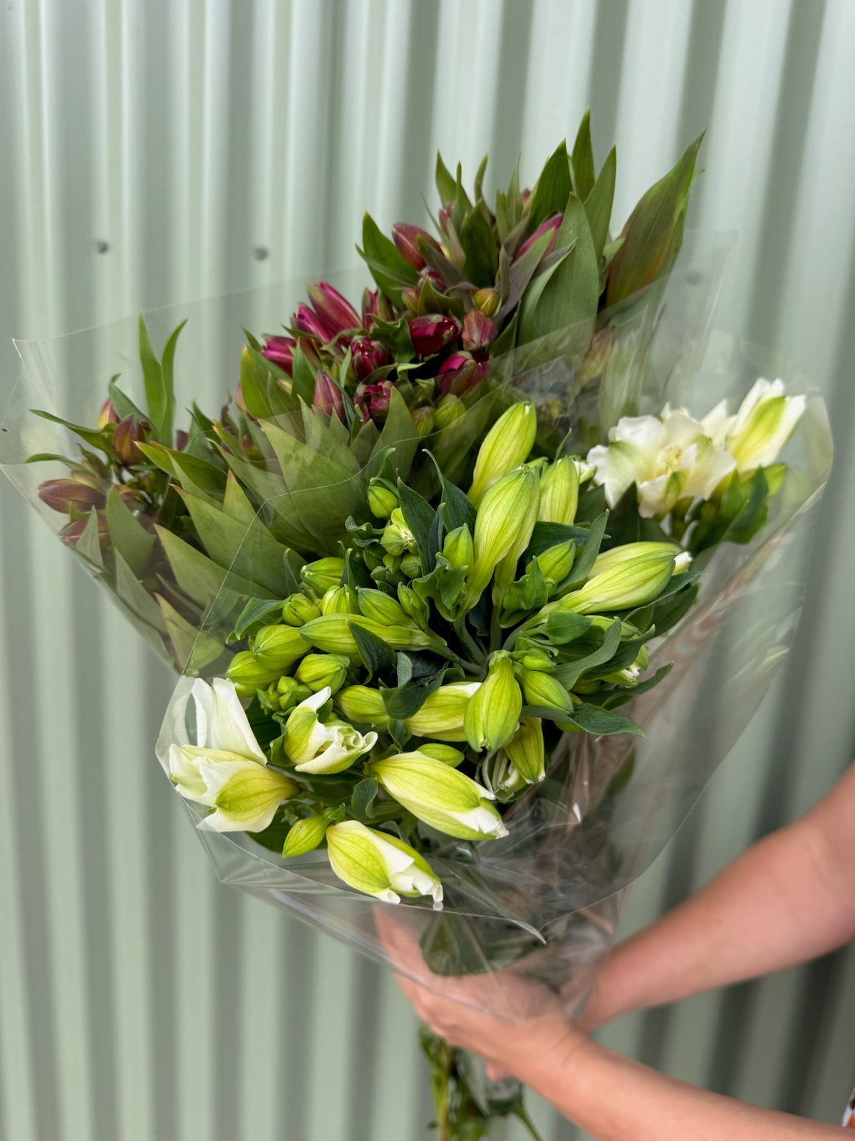 Alstroemeria Flower Bundle