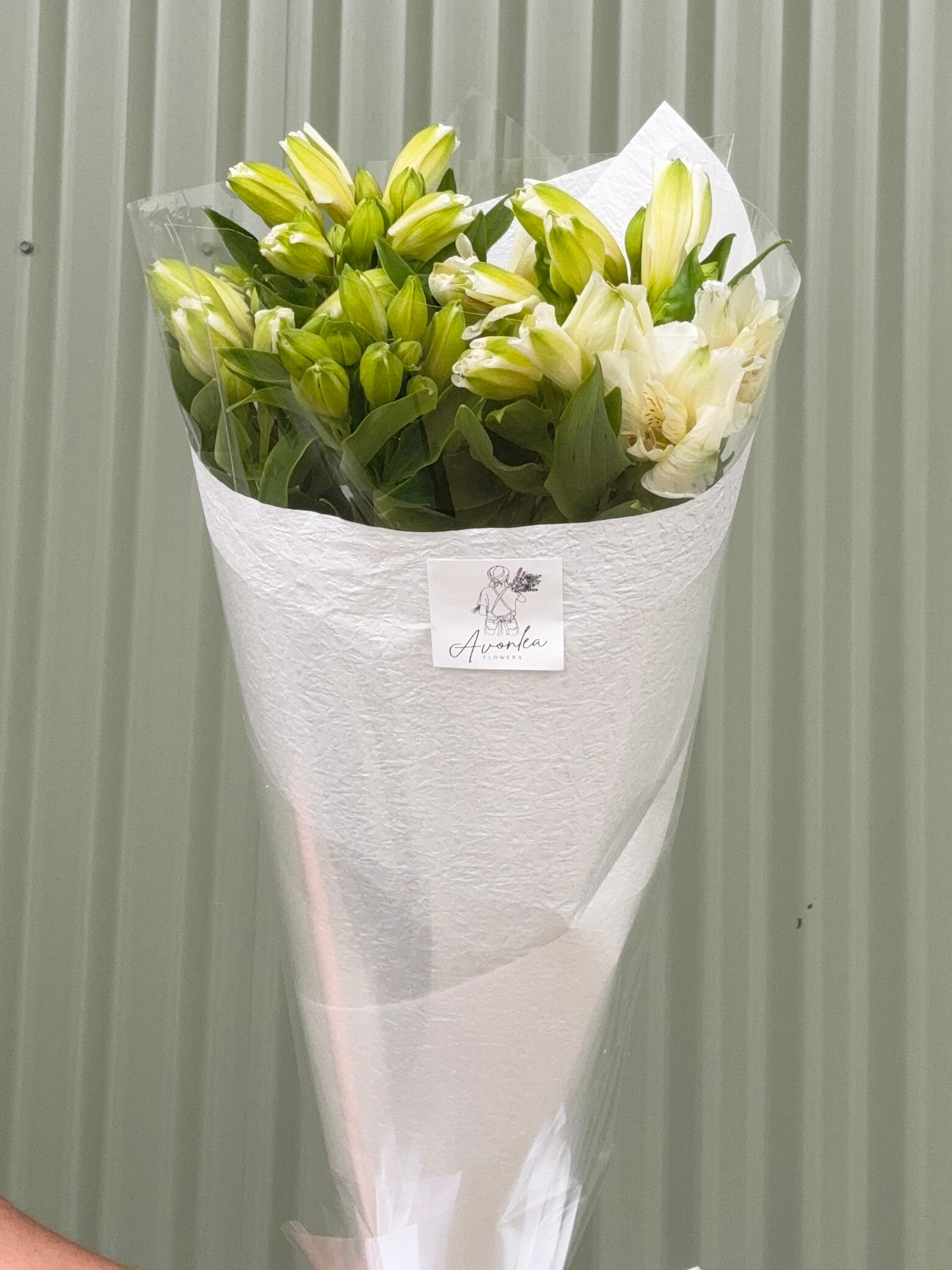 Alstroemeria Flower Bundle