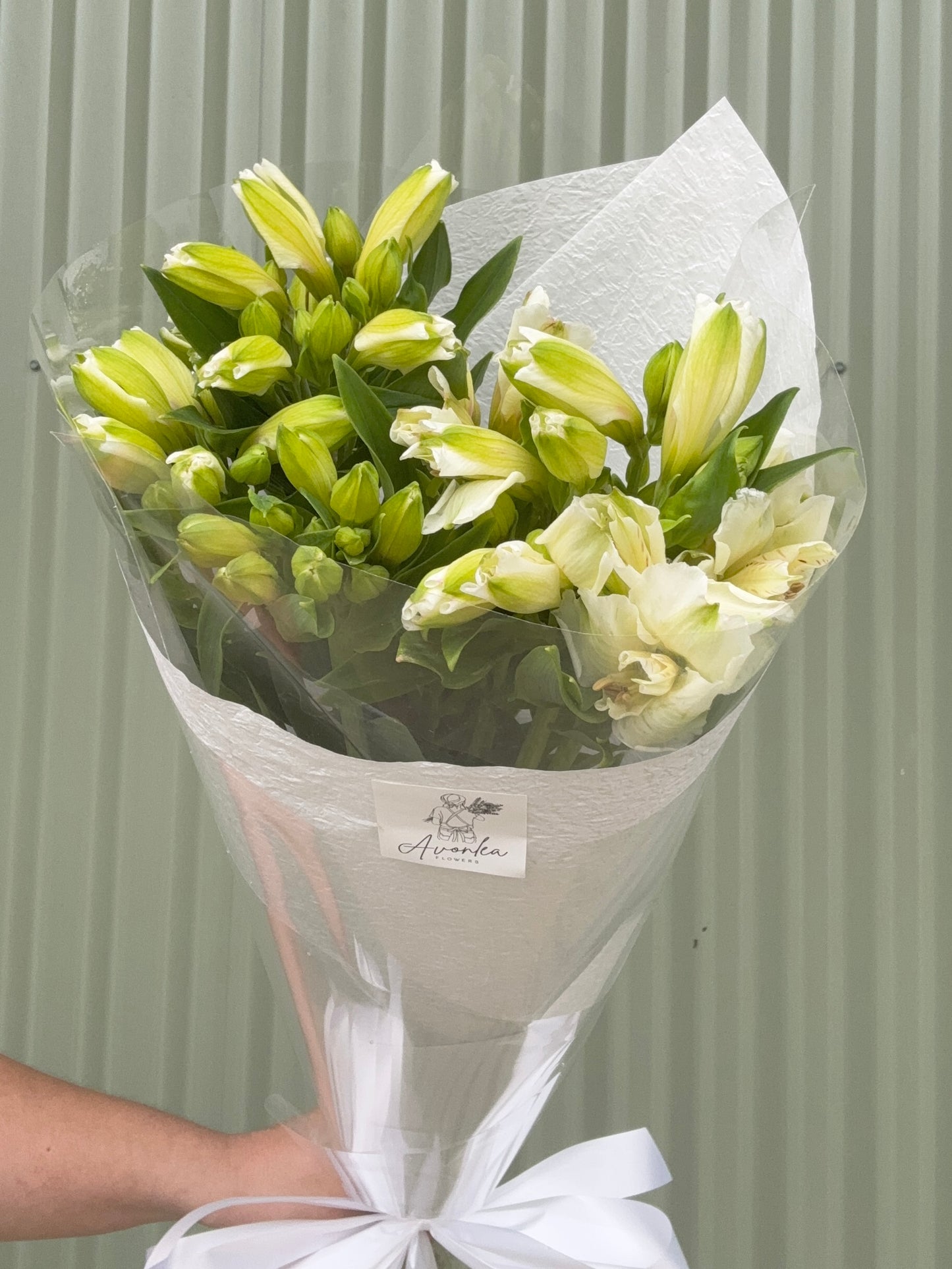 Alstroemeria Flower Bundle