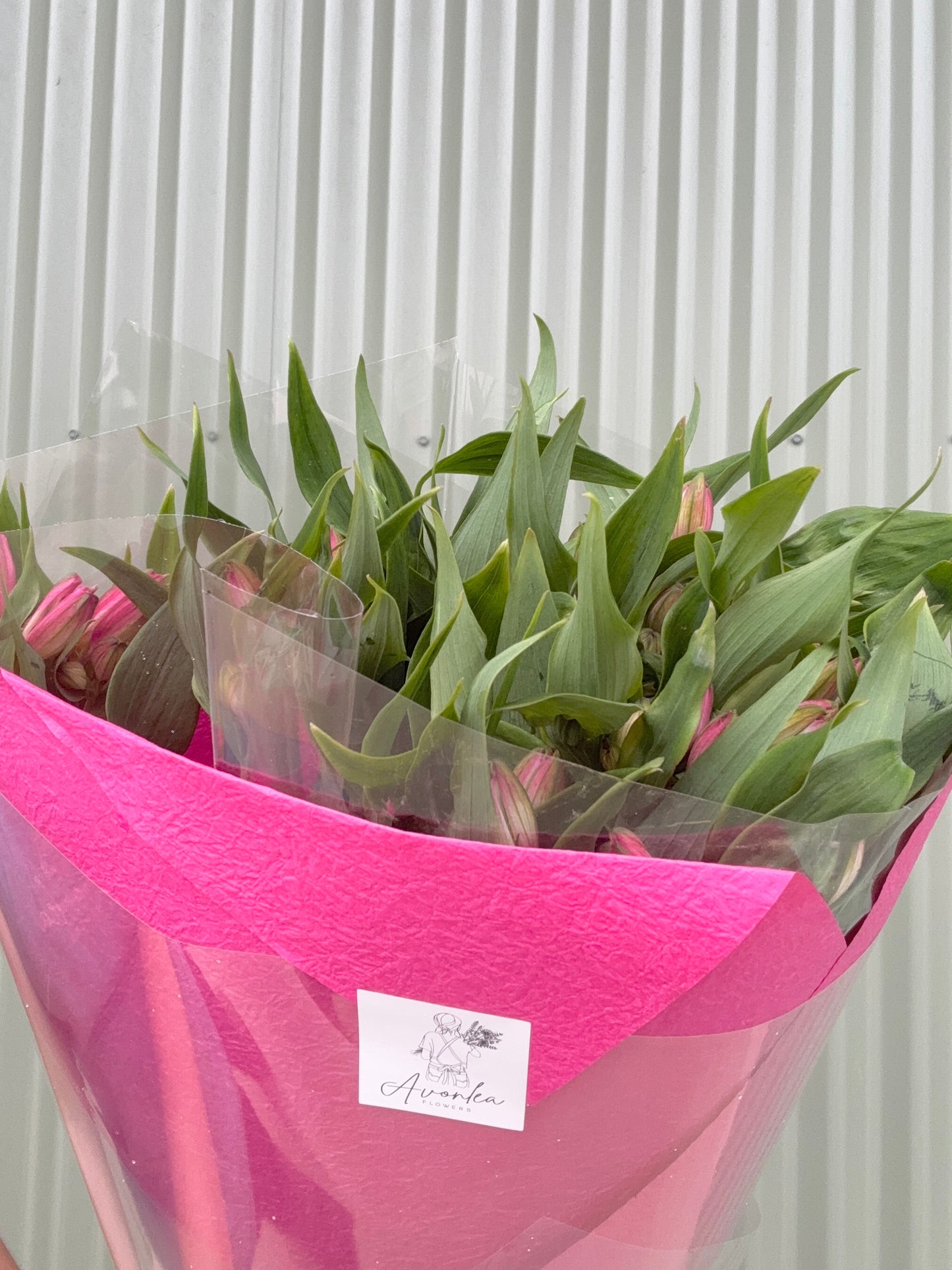 Alstroemeria Flower Bundle