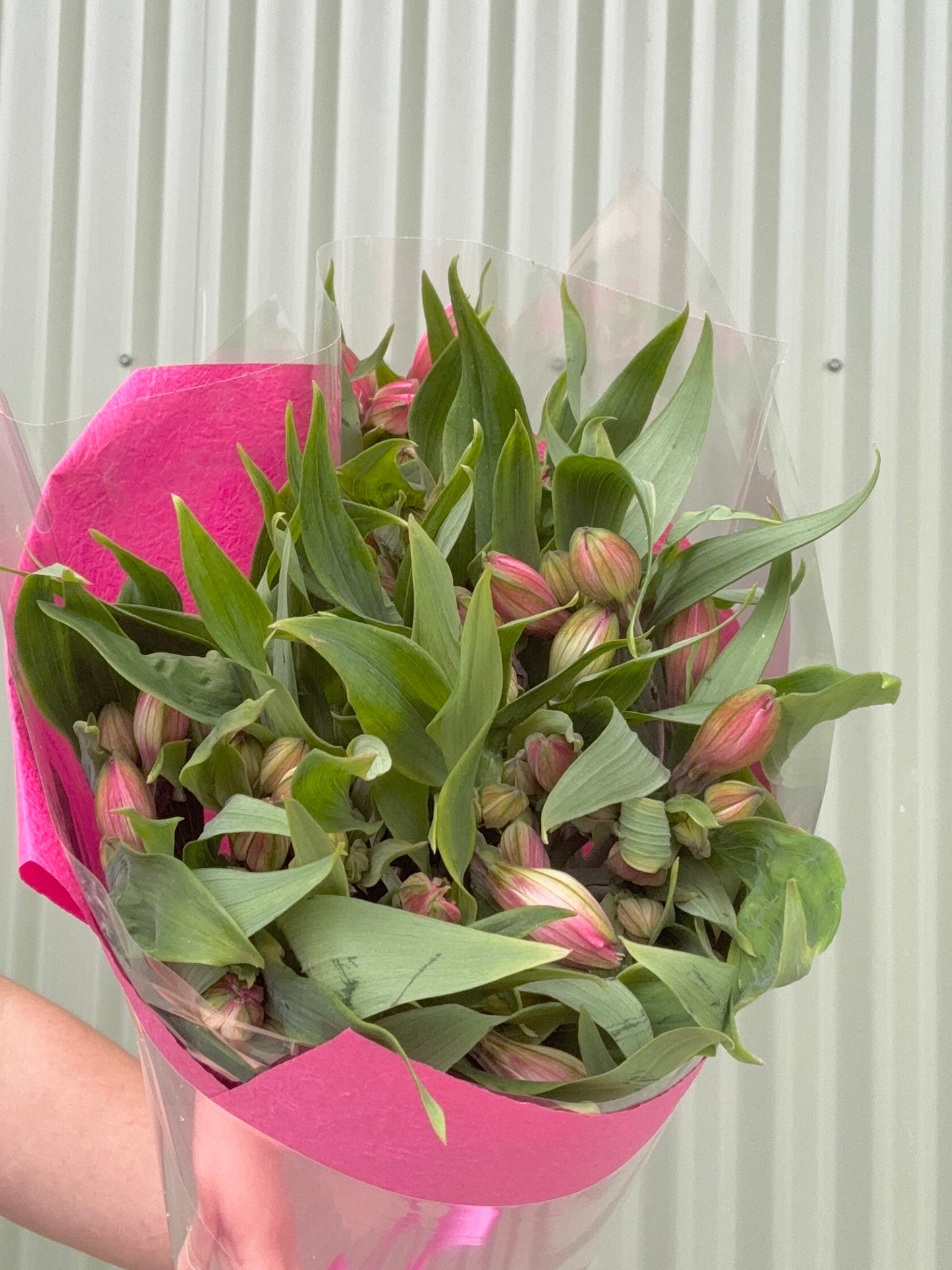 Alstroemeria Flower Bundle