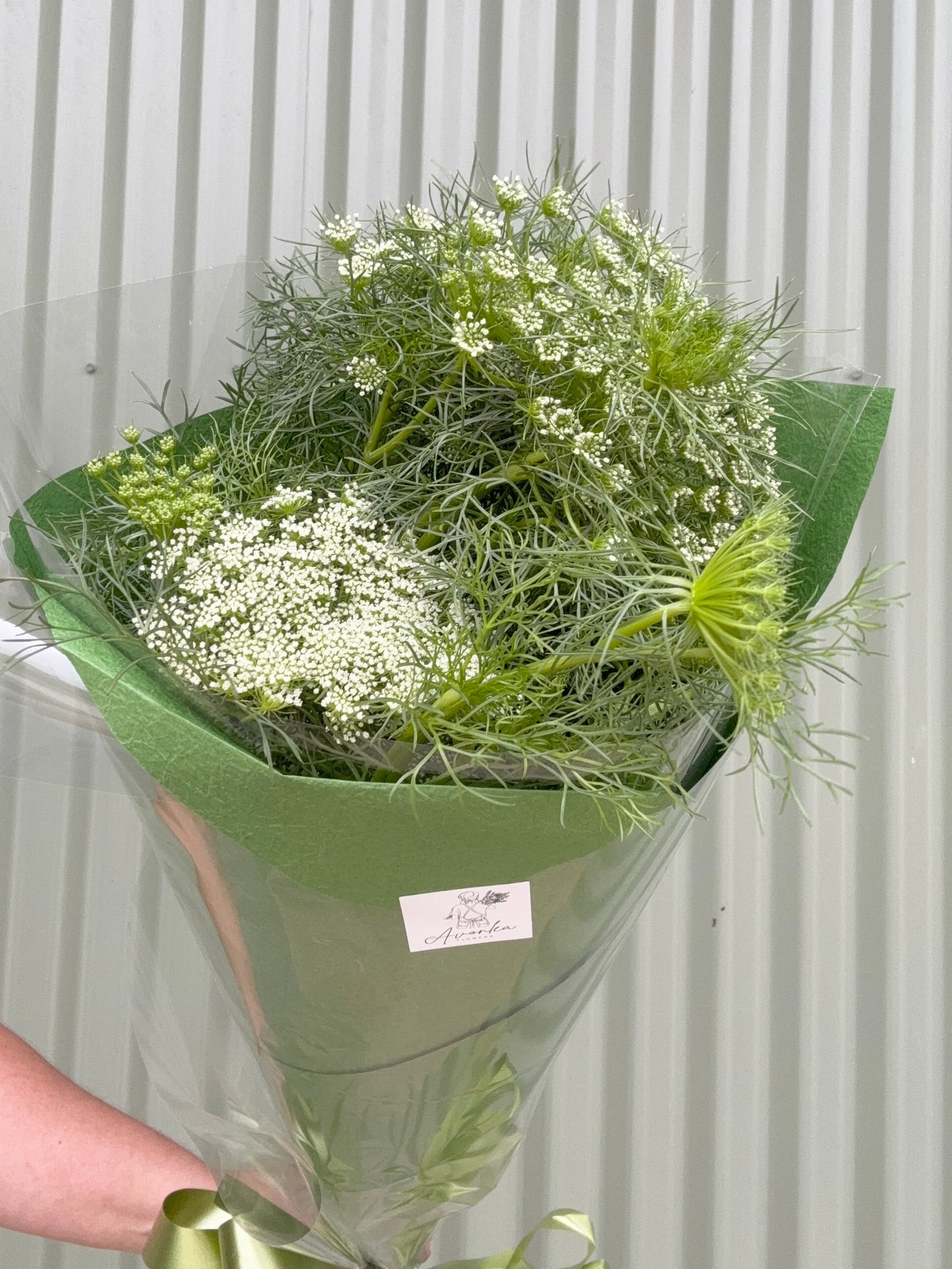 Queen Anne's Lace Flower Bundle