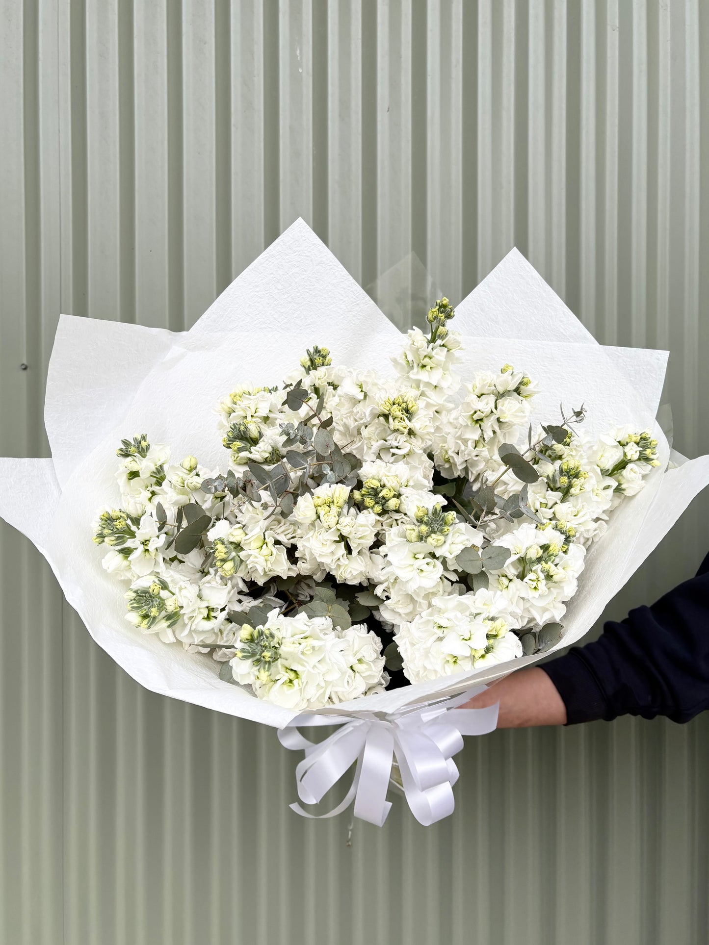 Stock Posy