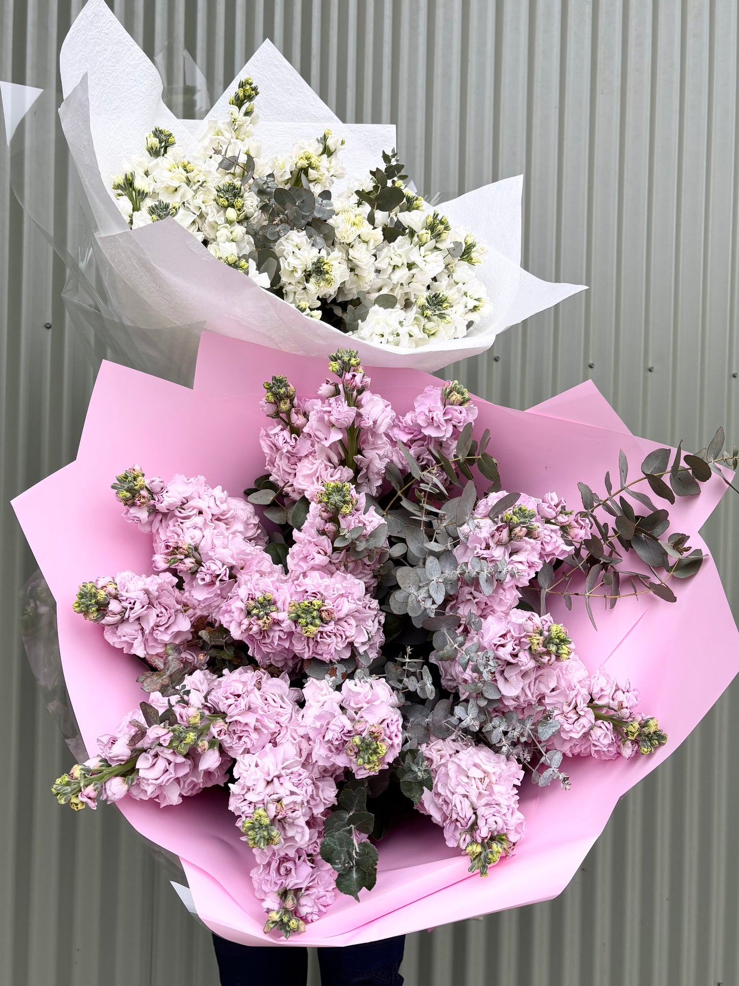 Stock Posy