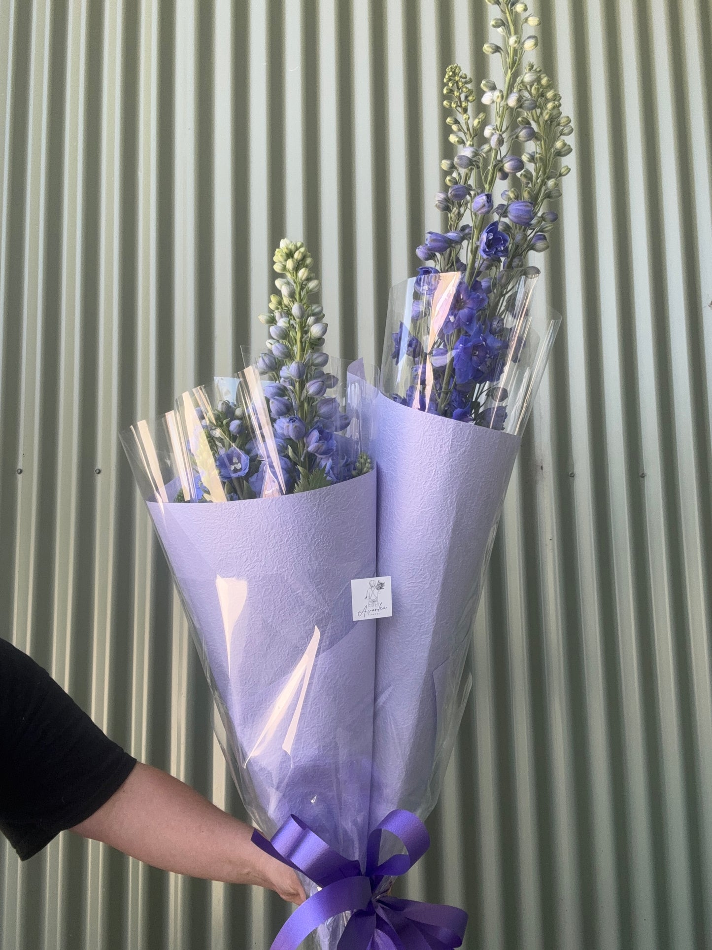 Delphinium Flower Bundle