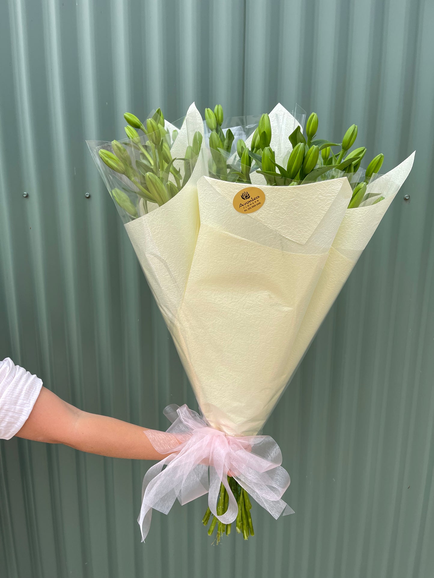 Lily Flower Bundle