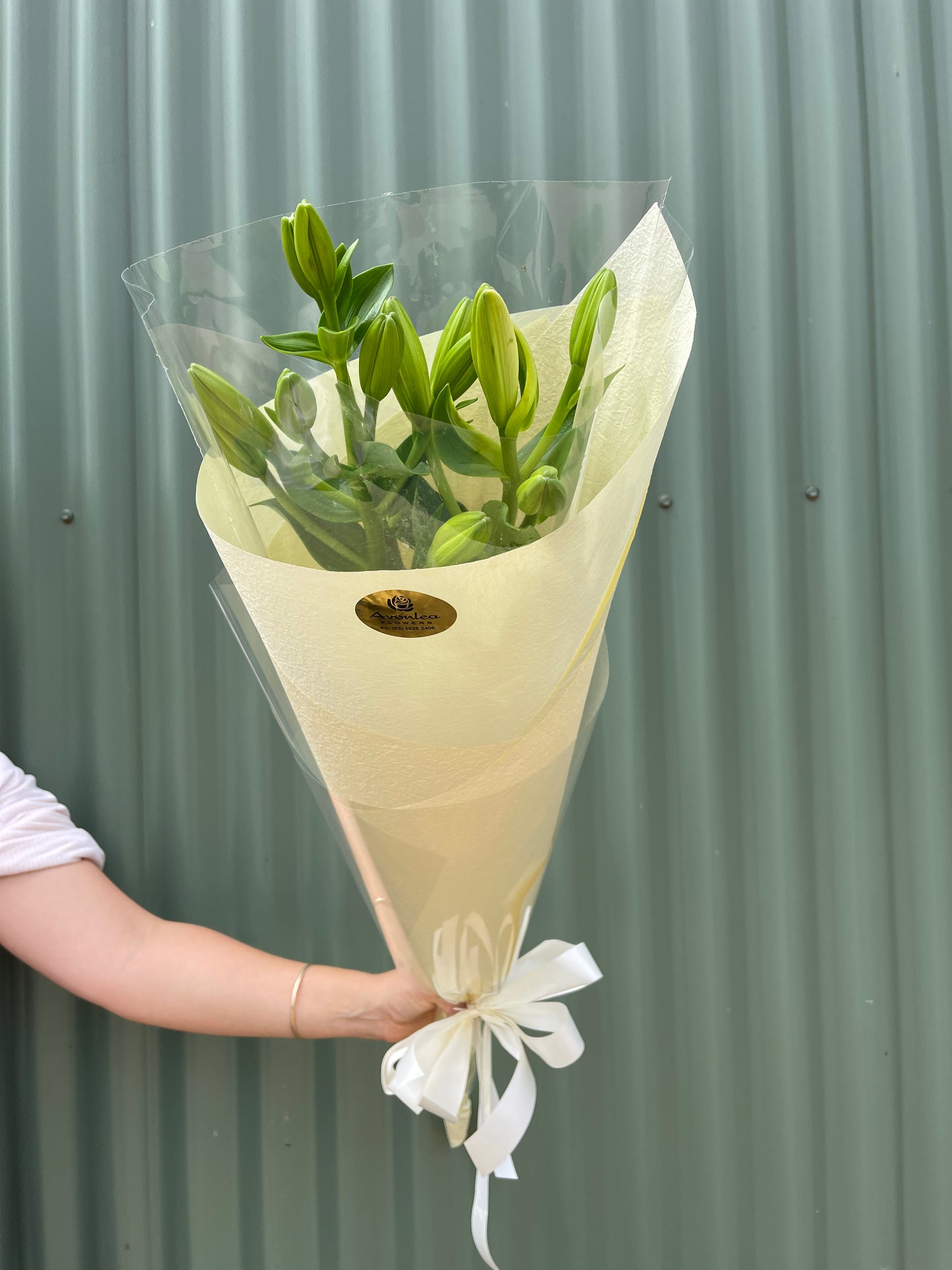 Lily Flower Bundle
