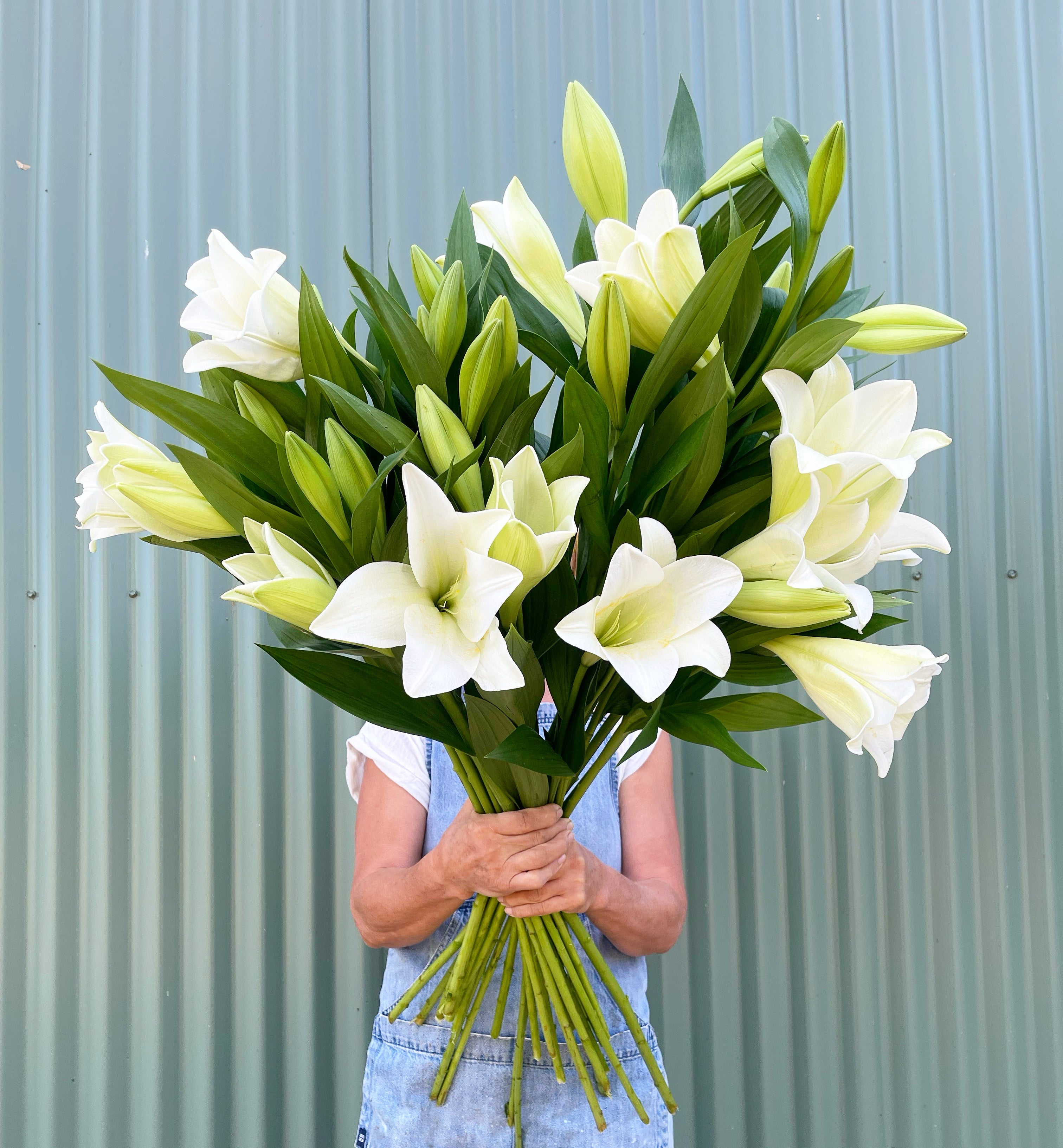 Person holding a large bouquet of white lilies against a light blue corrugated metal background