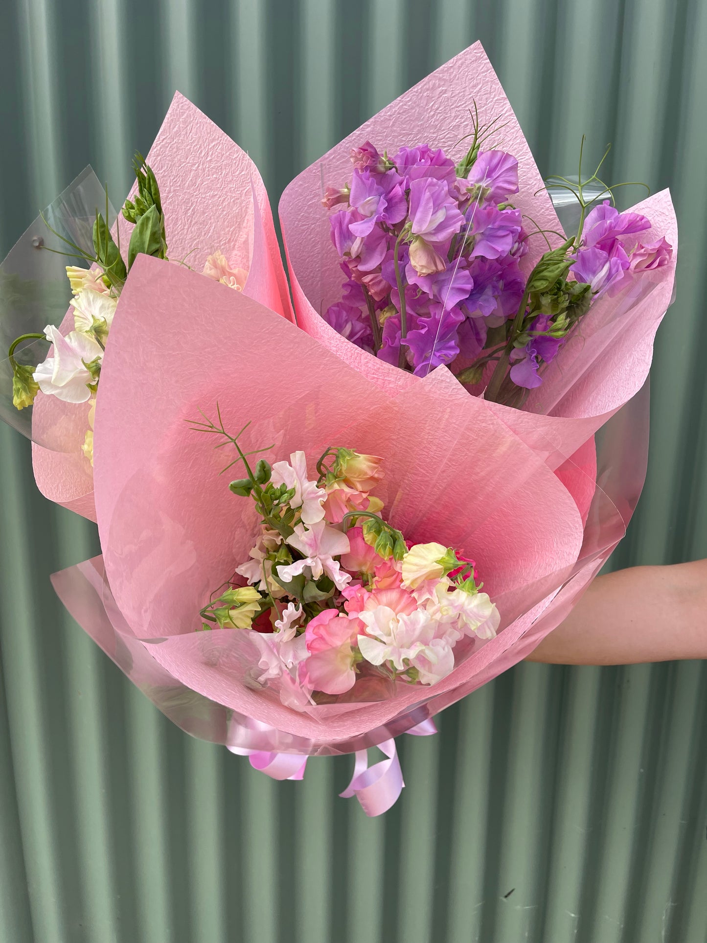 Sweet Pea Flower Bundle