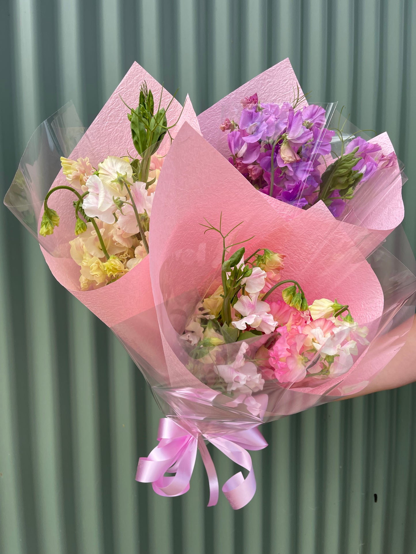 Sweet Pea Flower Bundle