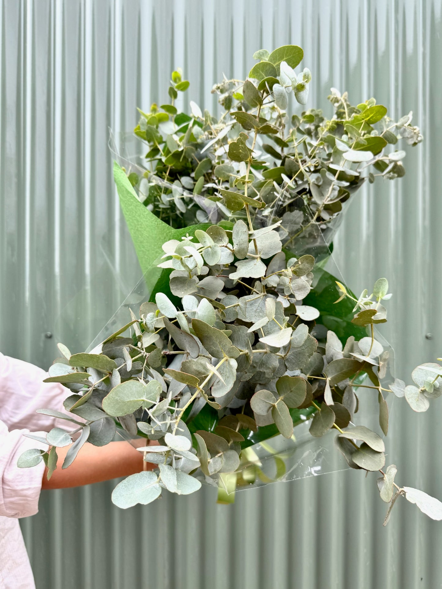 Blue Gum Flower Bundle
