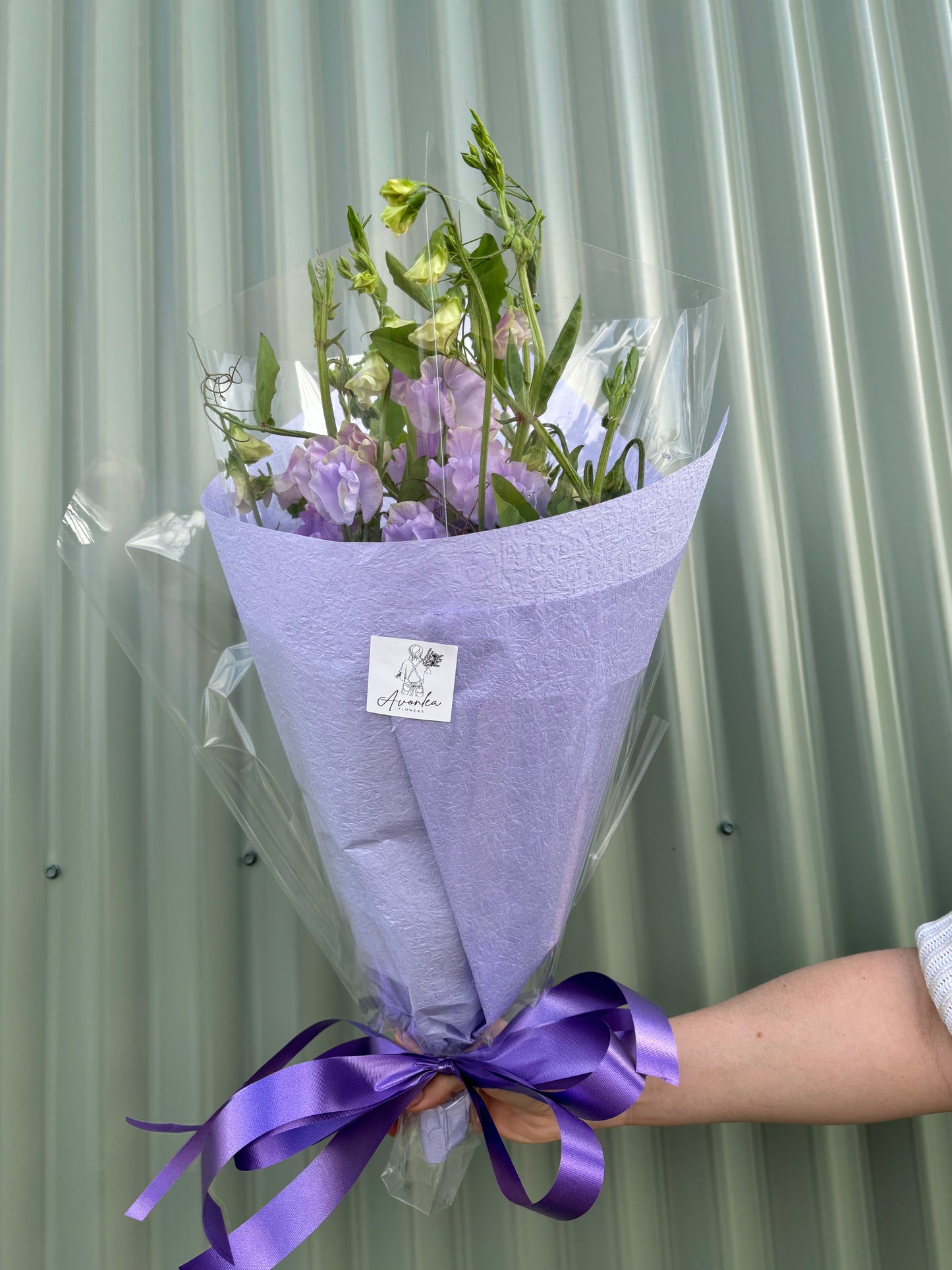 Sweet Pea Flower Bundle