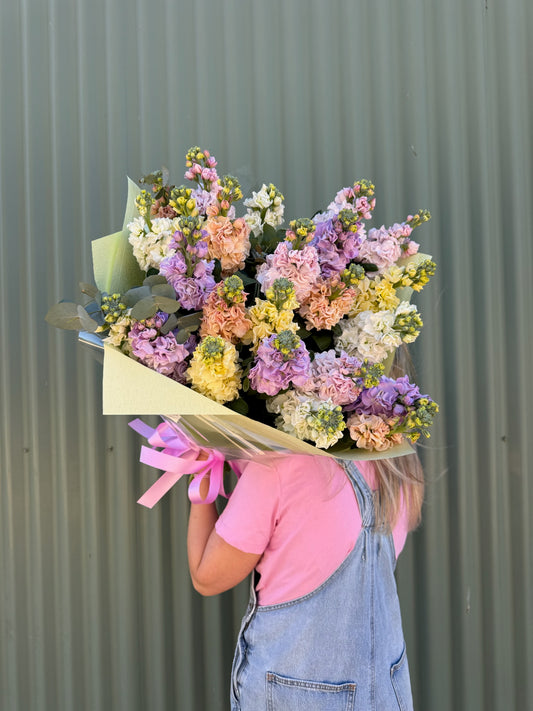 Stock Posy