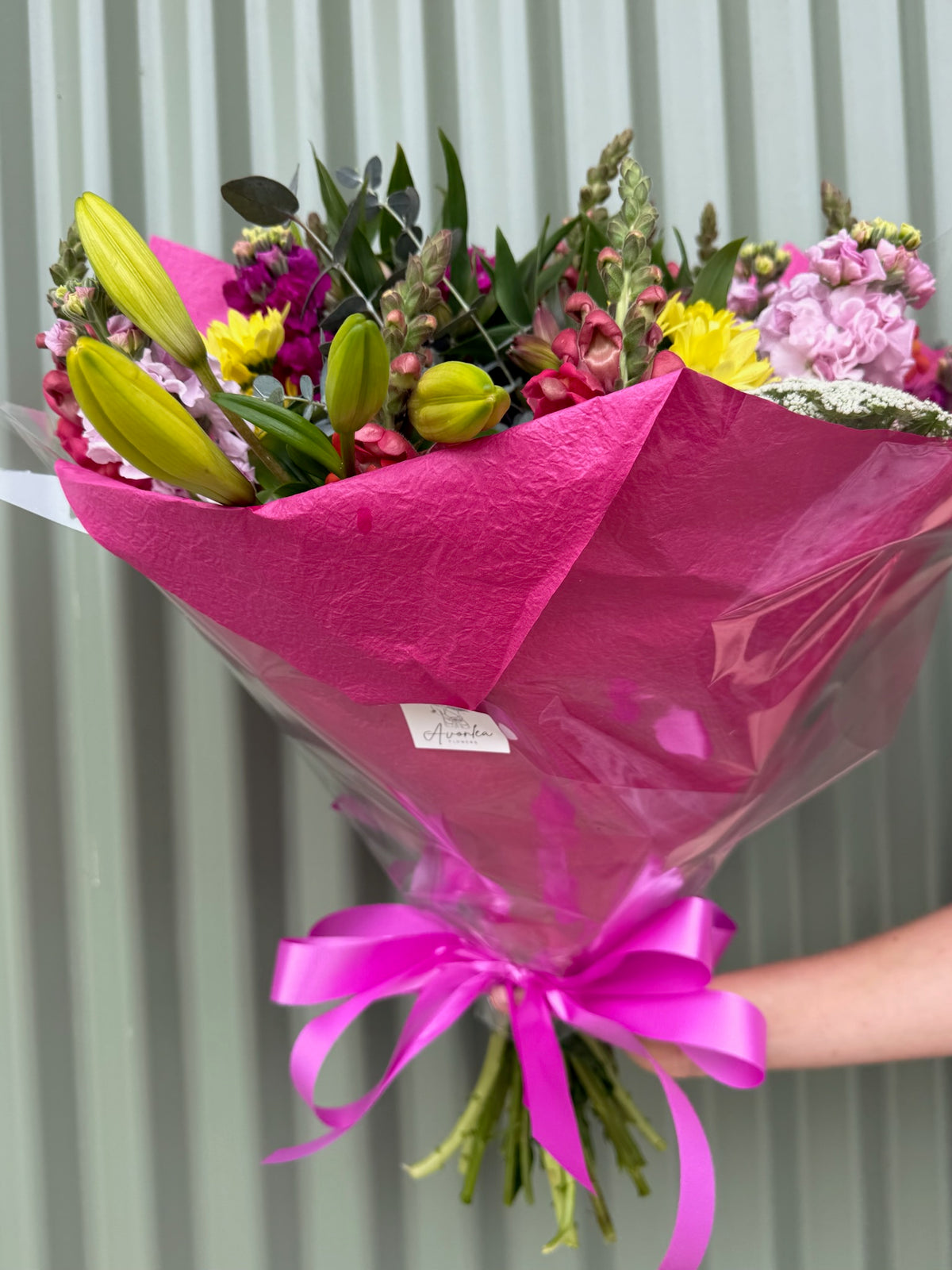 $50 Seasonal Posy - Bright