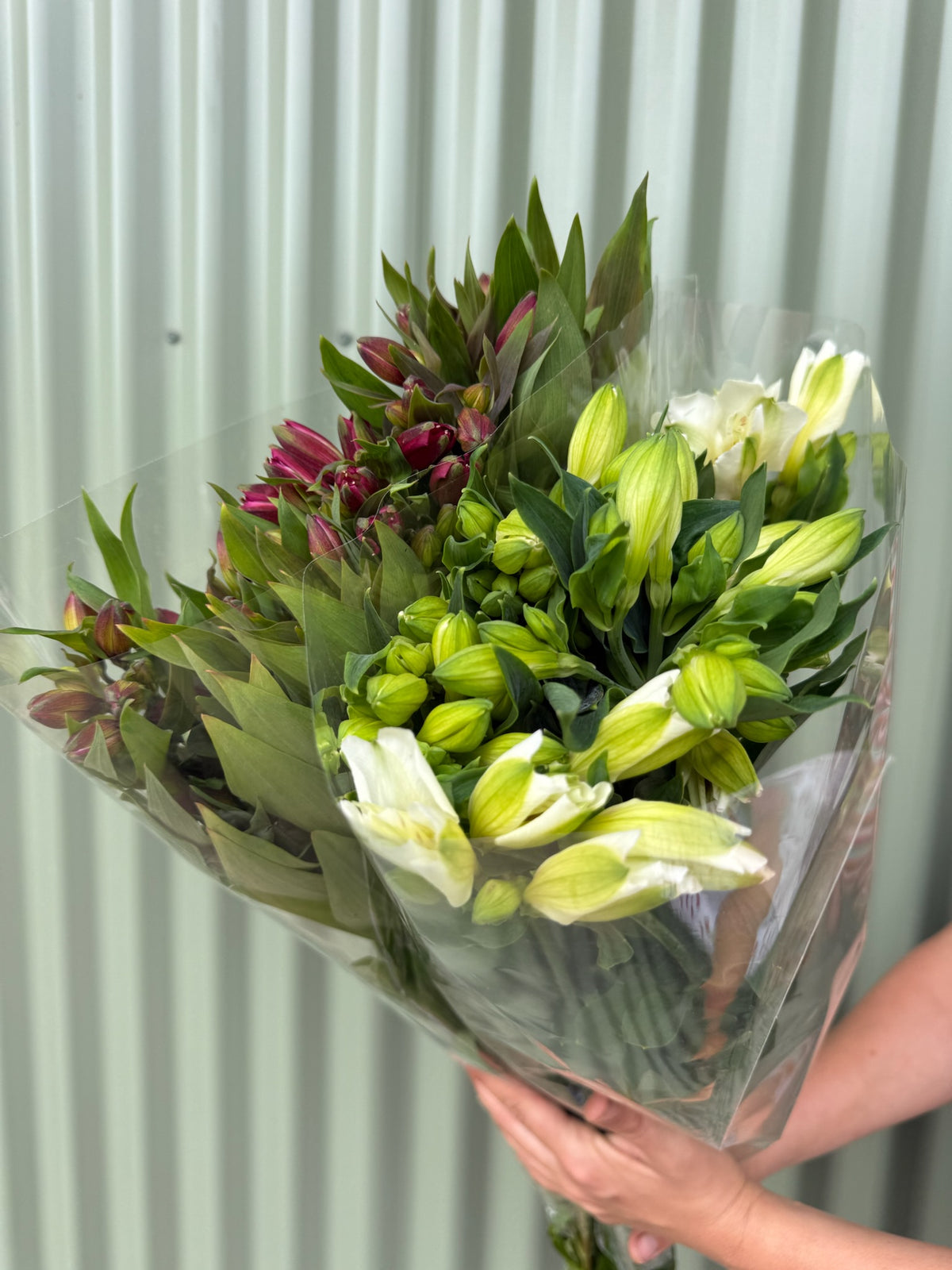 Alstroemeria Flower Bundle