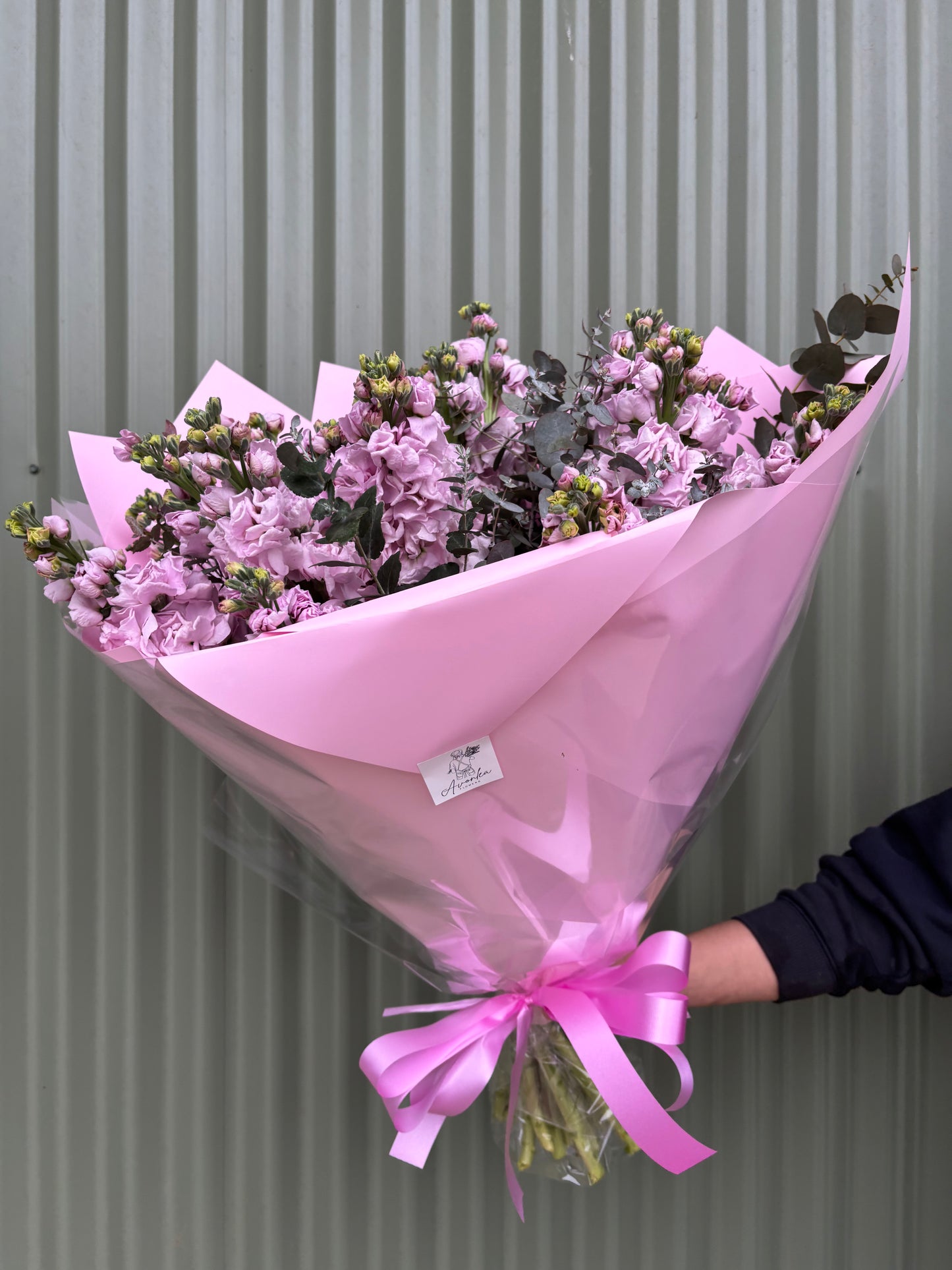 Stock Posy