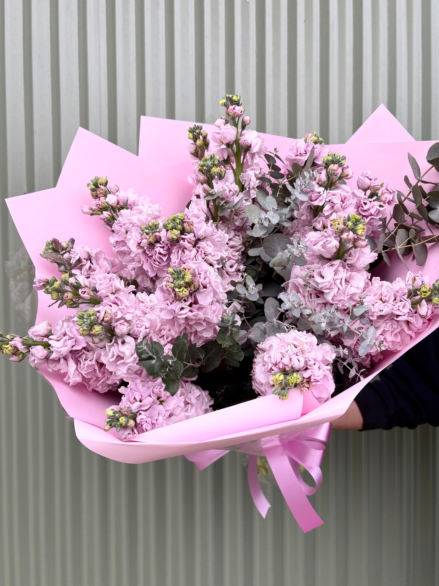 Stock Posy