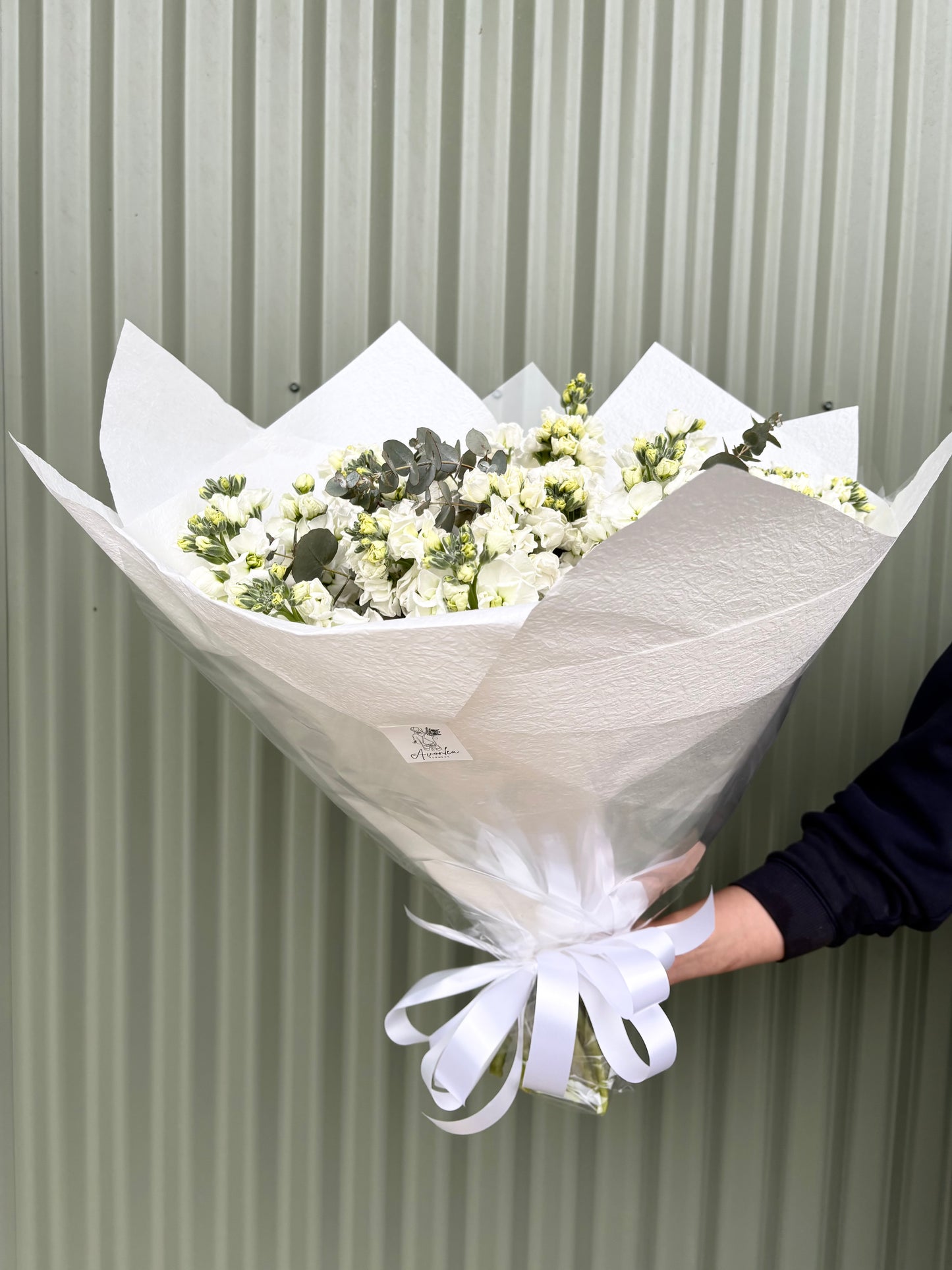 Stock Posy