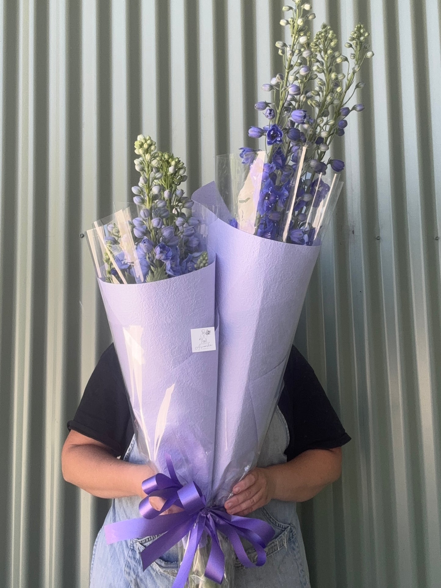 Delphinium Flower Bundle