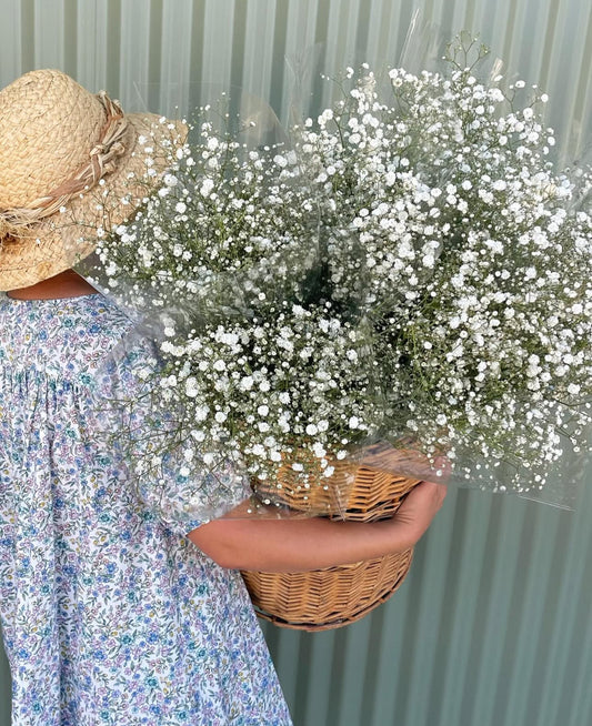 Gypsophila (Baby's Breath) Flower Bundle