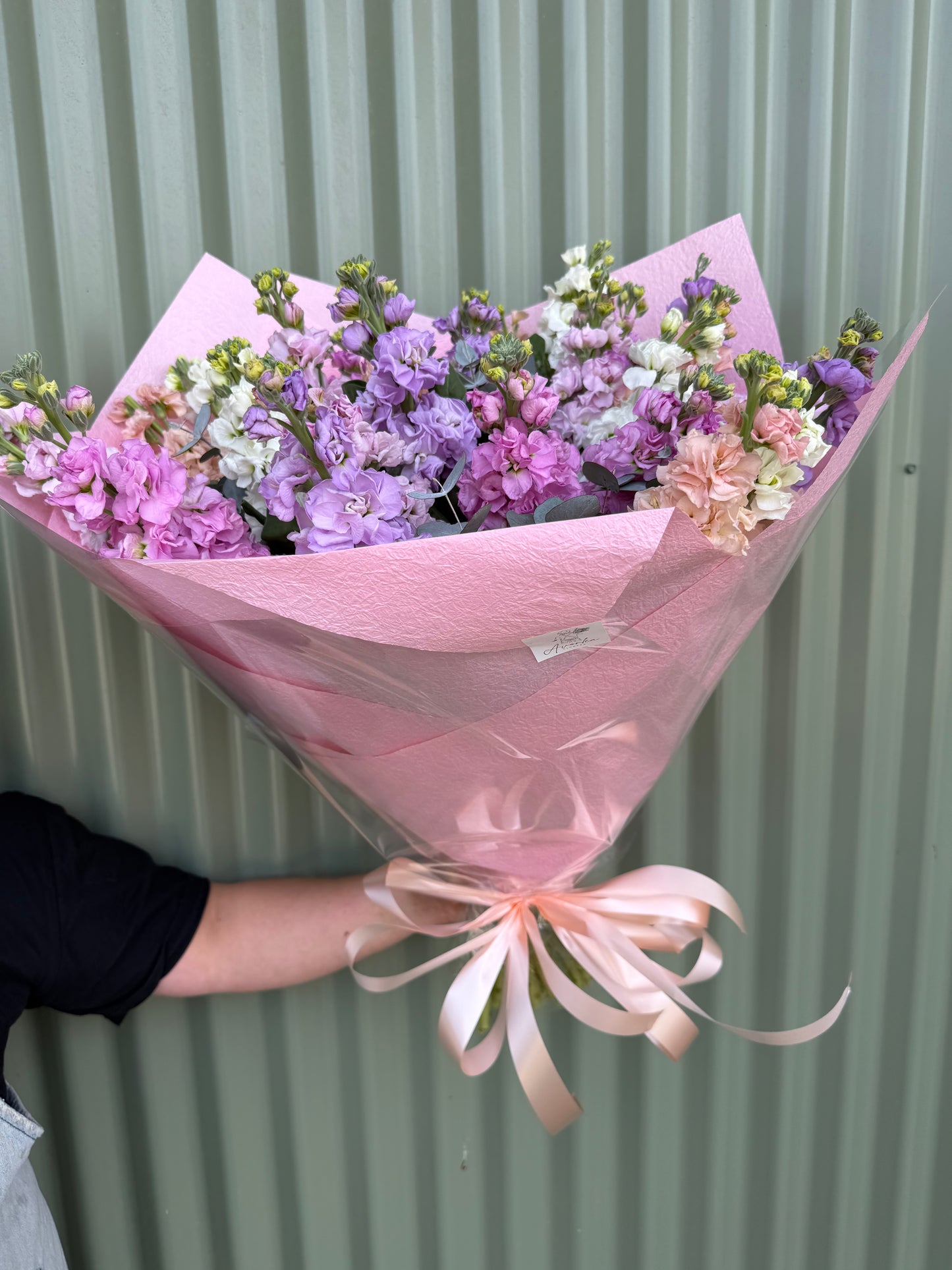 Stock Posy