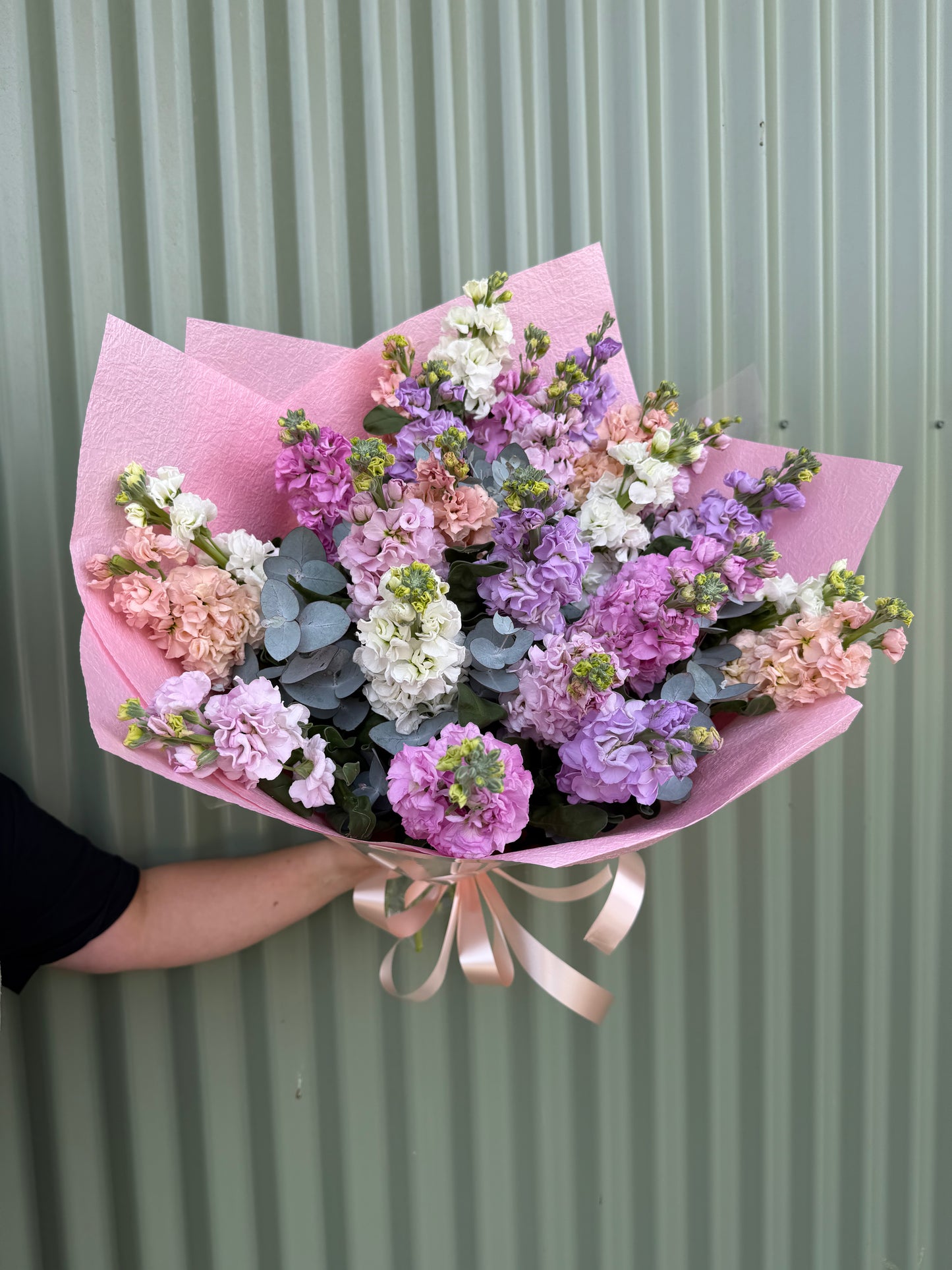 Stock Posy