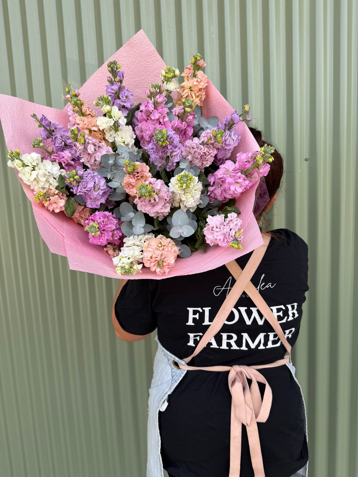 Stock Posy