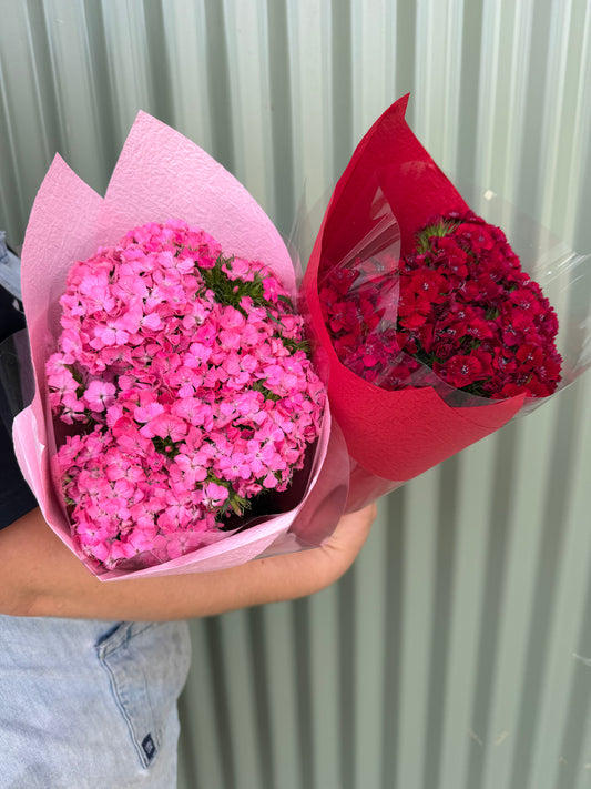 Sweet William Flower Bundle