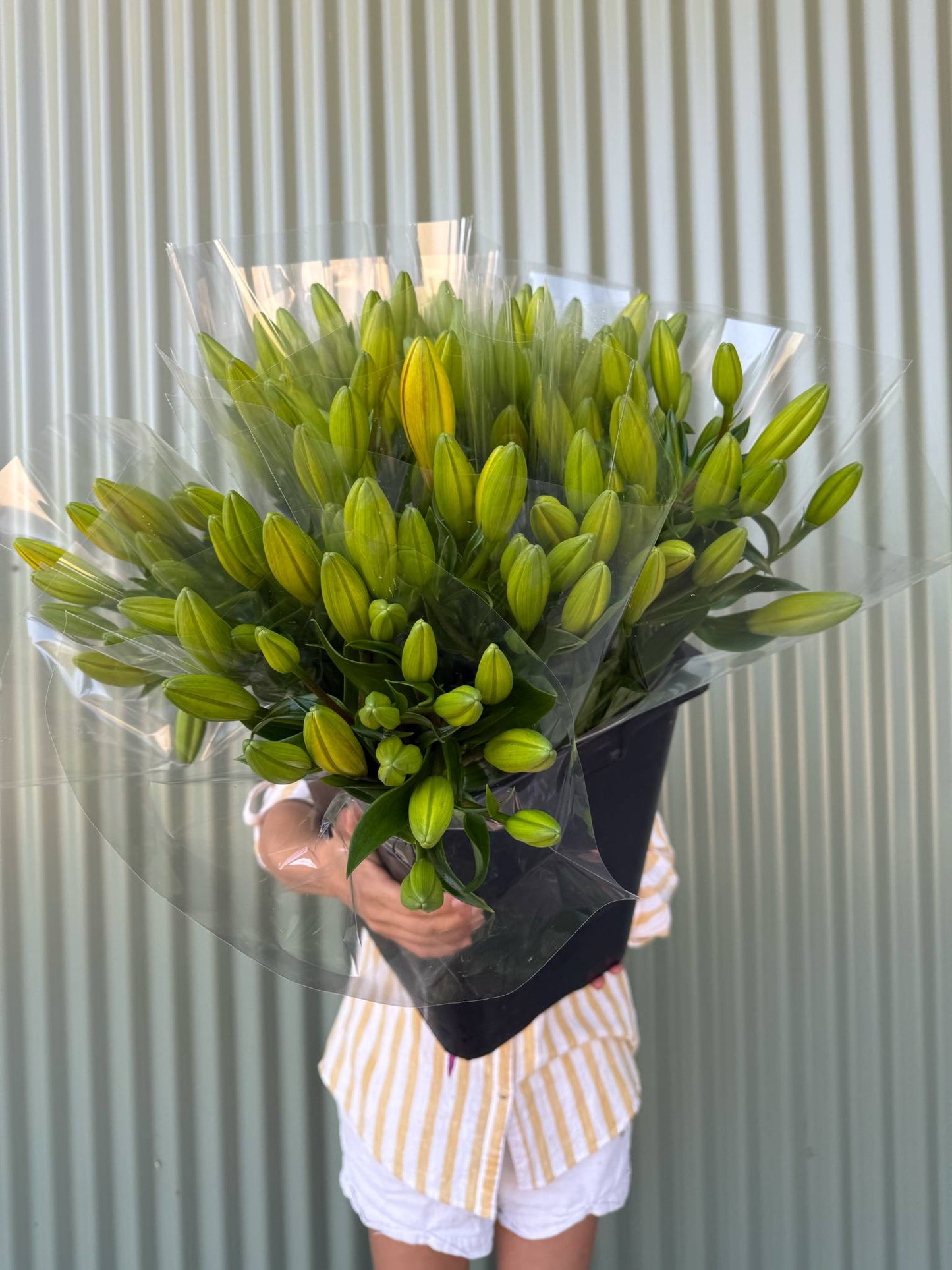 Lily Flower Bundle