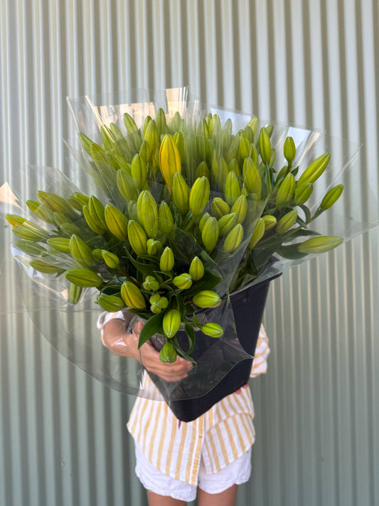 Lily Flower Bundle